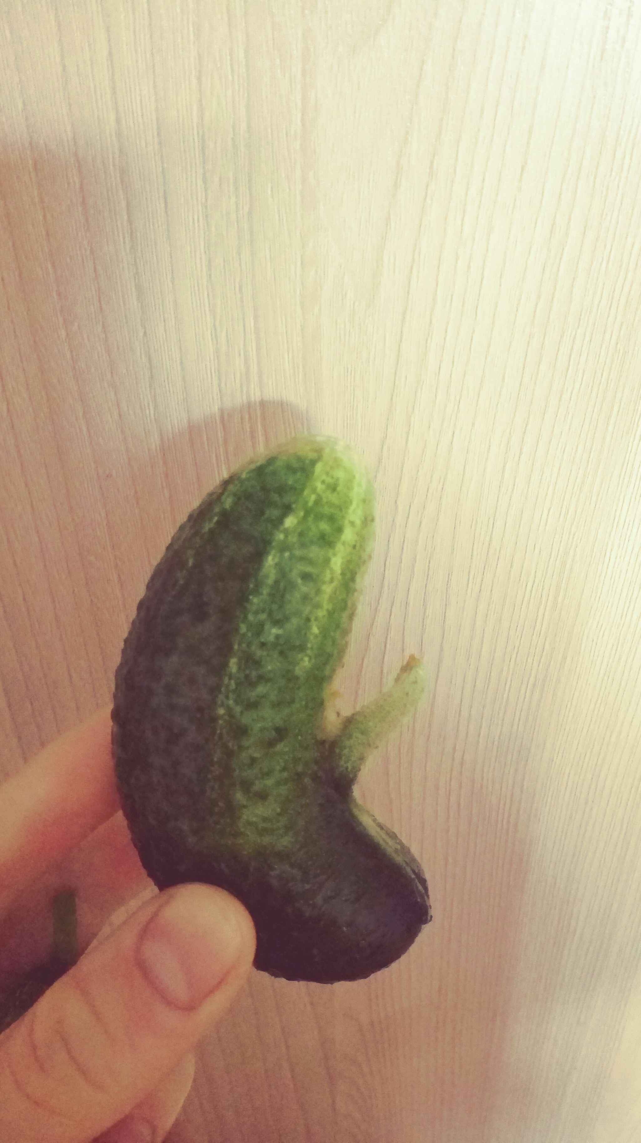 Horny Cucumber - My, Vegetables, Summer, Harvest