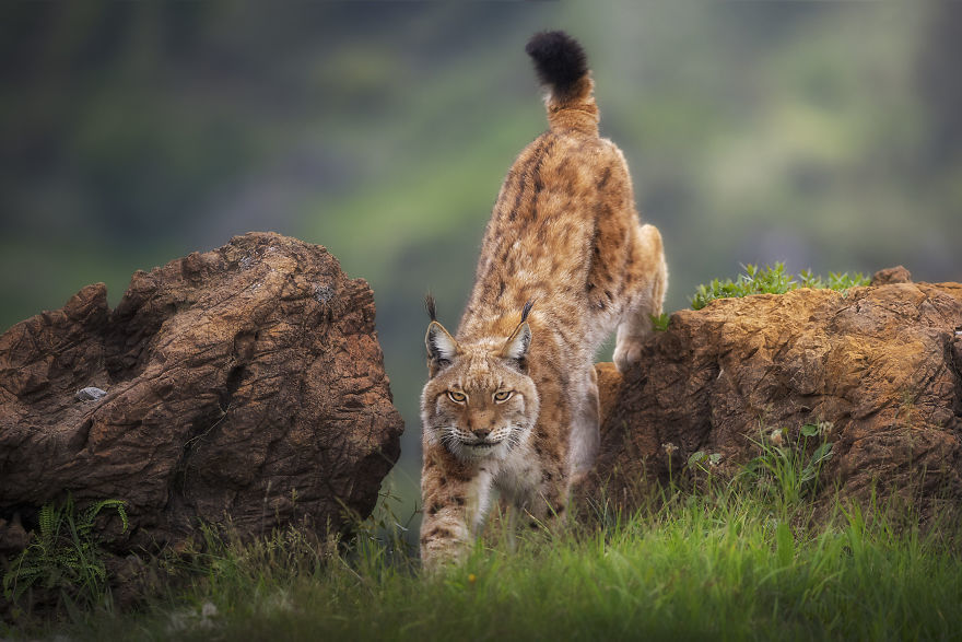 Nature and people. #AGORAawards2019 Winners - Nature, The photo, Longpost