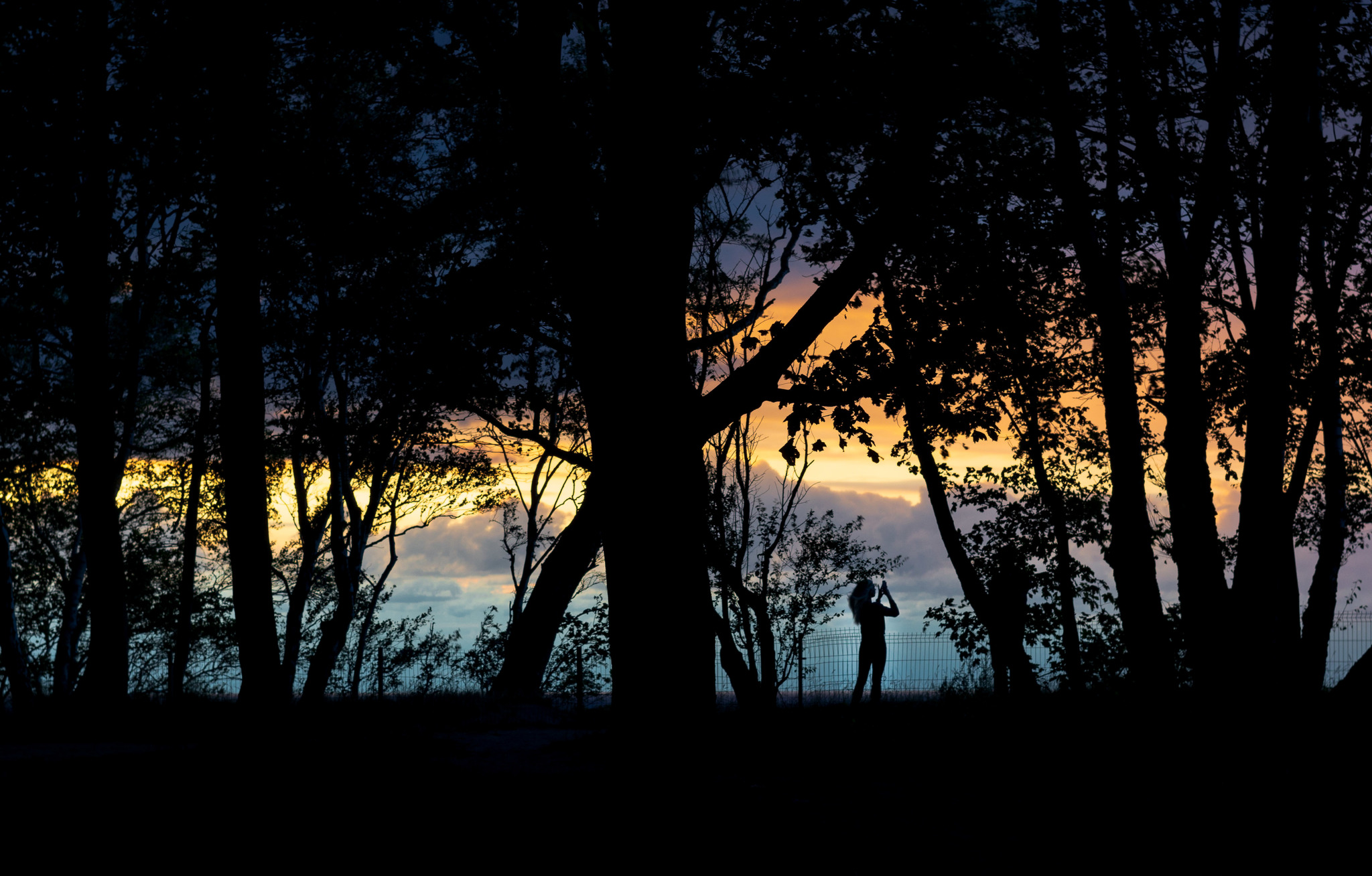 What makes an impressive shot? - My, The photo, Sunset, Baltic Sea, Lucky moment, Nex5t, Kaliningrad region