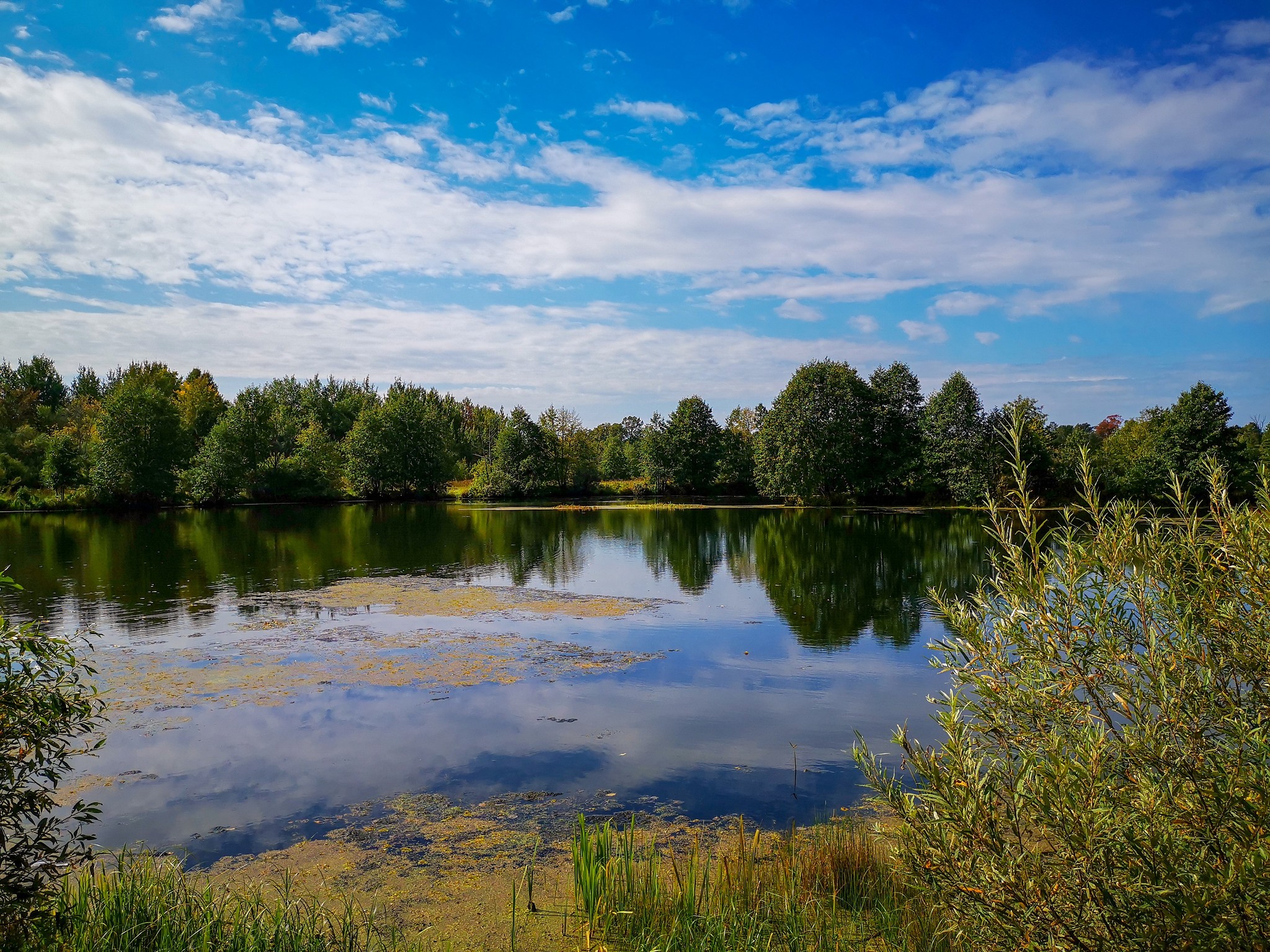 Решетиха дзержинск. Решетиха природа. Река Решетиха Тверская область. Красивые места в Решетихе летом.