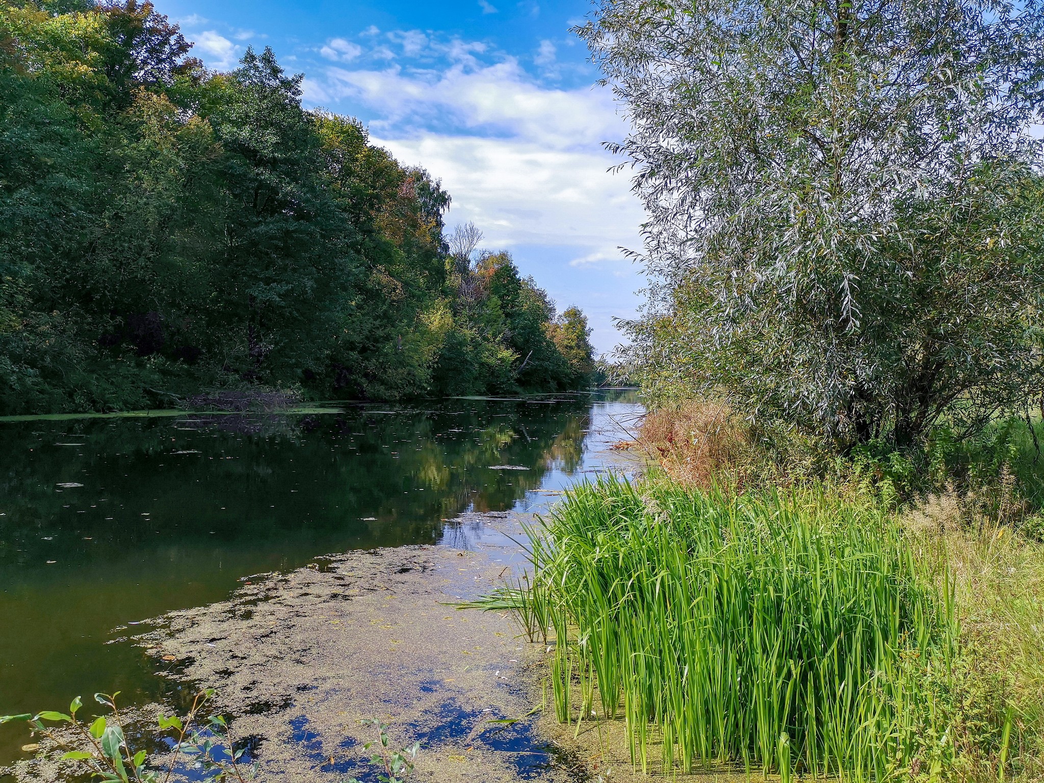 September sketches - My, Dzerzhinsk, Reshetiha, Nature, Mobile photography, The photo, Longpost, Video, A bike