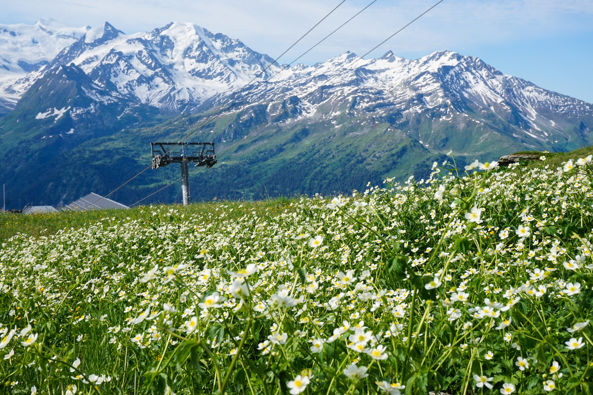 Hike the Haute Route or from Mont Blanc to the Matterhorn. - My, Hike, Tourism, Switzerland, The mountains, Longpost