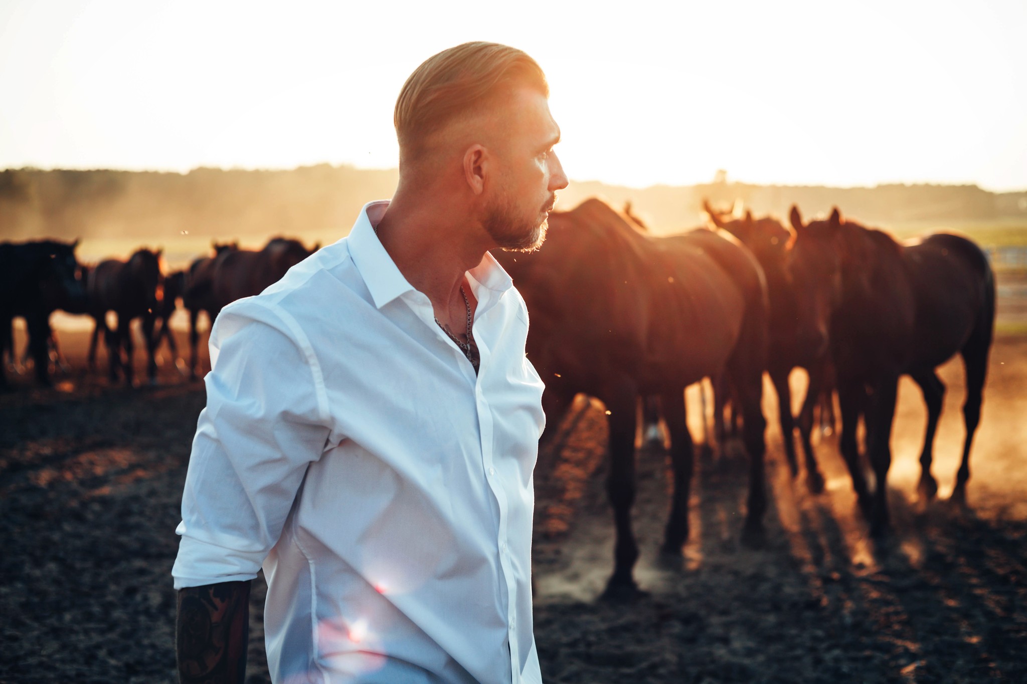 Visiting the herd - My, Horses, Sunset, Herd