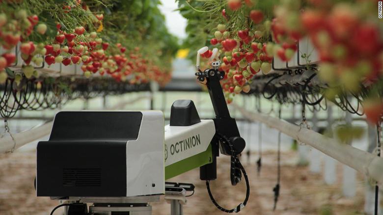 Why robots will soon collect fruit and salad - Сельское хозяйство, Automation, Robot