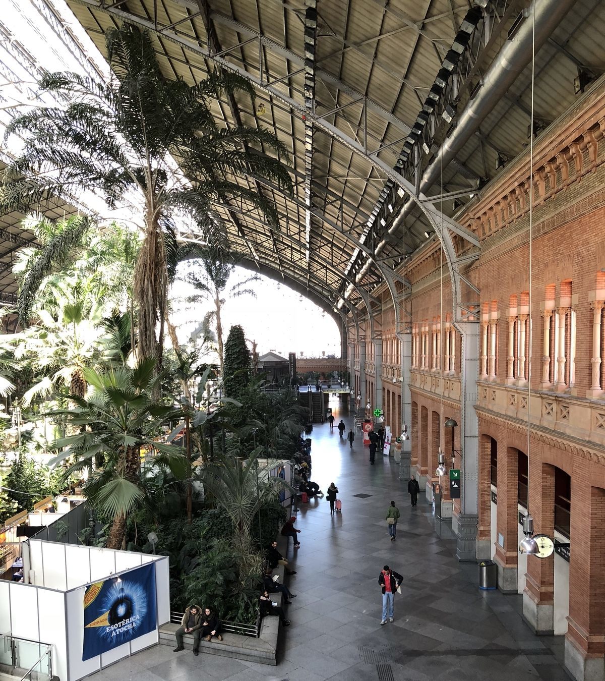 Green station in Madrid. - Madrid, Garden, Plants, Longpost