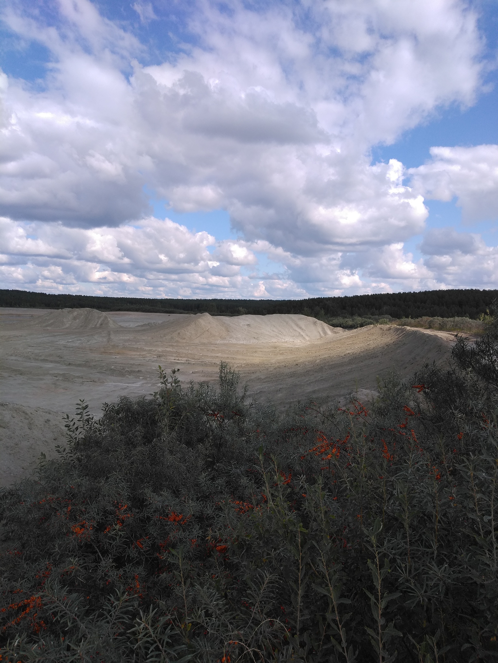 sea ??buckthorn desert - My, Sandstone, Berezovsky, Career, Sea buckthorn, Longpost