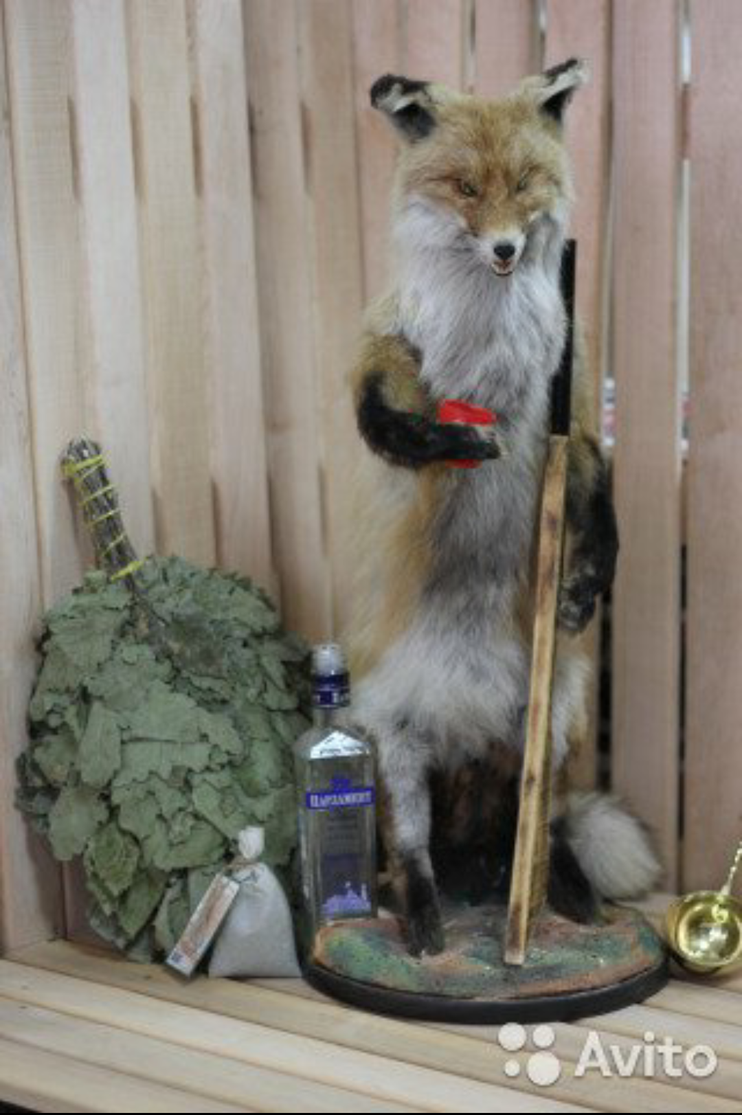 A special kind of art - Taxidermy, Animals, The horrors of taxidermy, Longpost