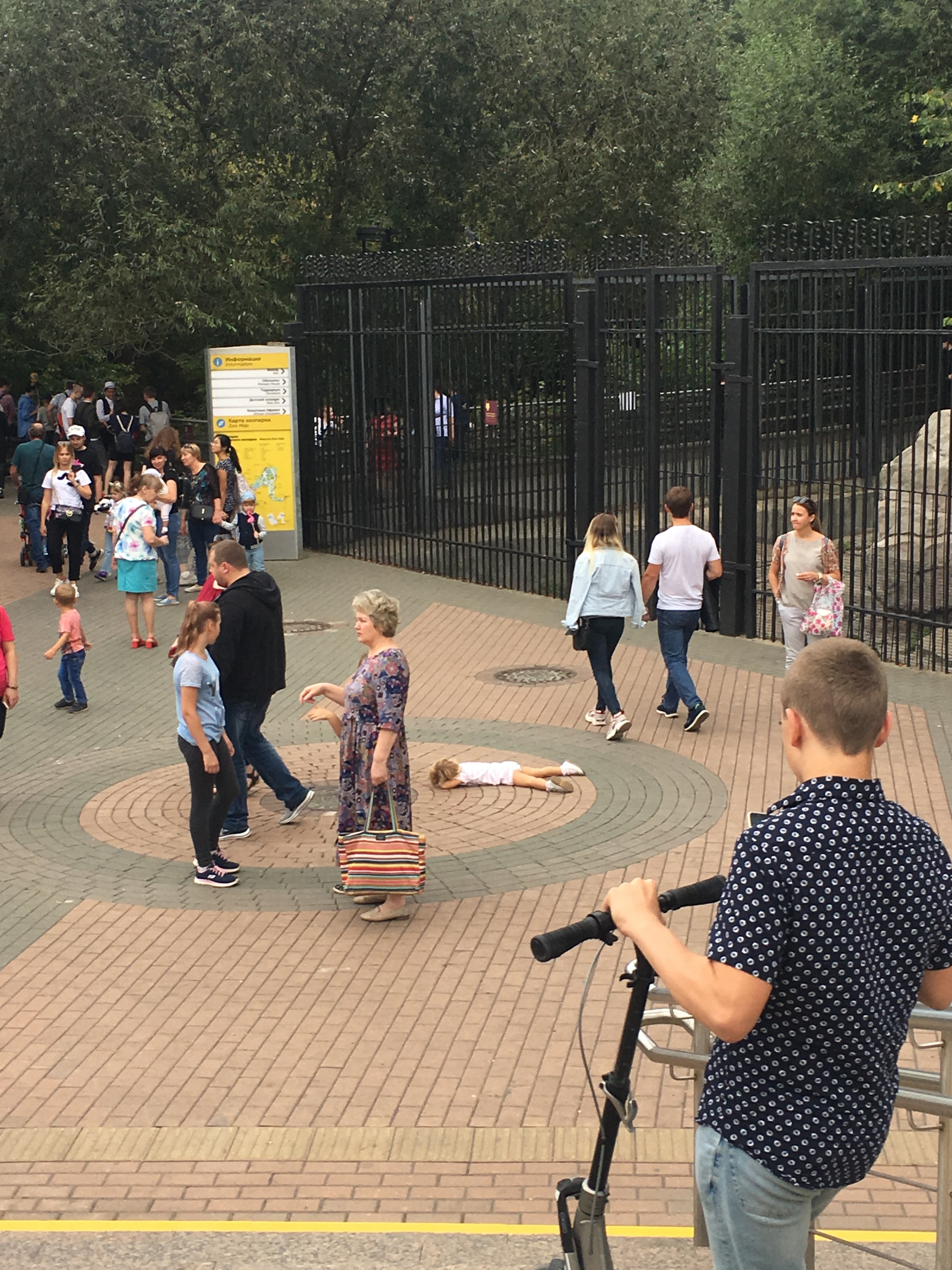 When your child is walking - My, Children, Moscow Zoo, Walk, Summer