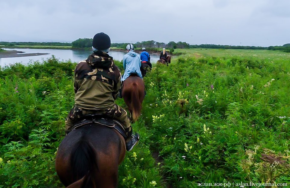 How to develop the Far Eastern hectare. - My, Far Eastern hectare, Kamchatka, Longpost