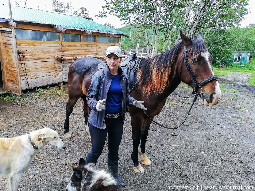 How to develop the Far Eastern hectare. - My, Far Eastern hectare, Kamchatka, Longpost