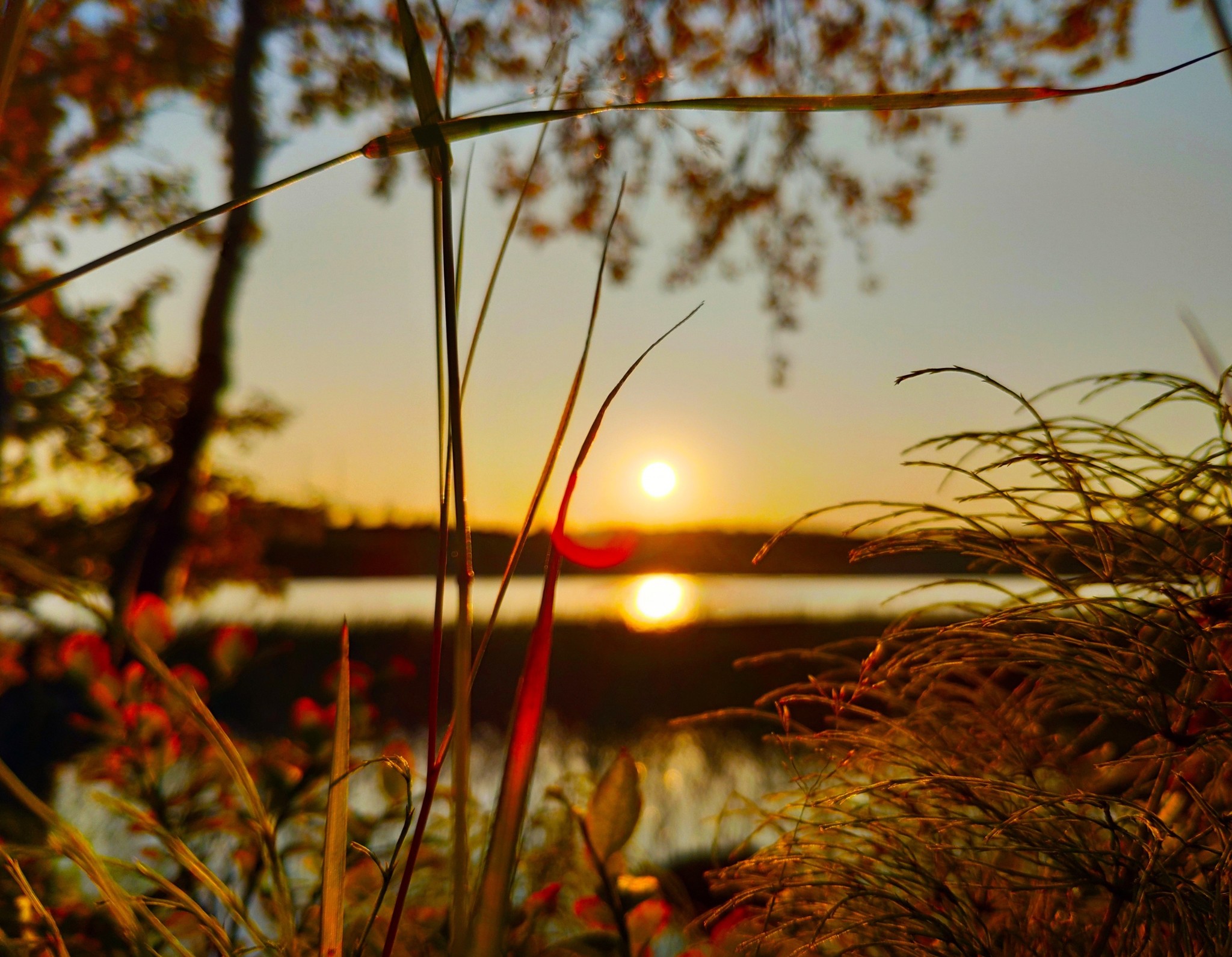 Golden autumn in the Arctic - My, Landscape, beauty of nature, Kola Peninsula, Murmansk, Longpost