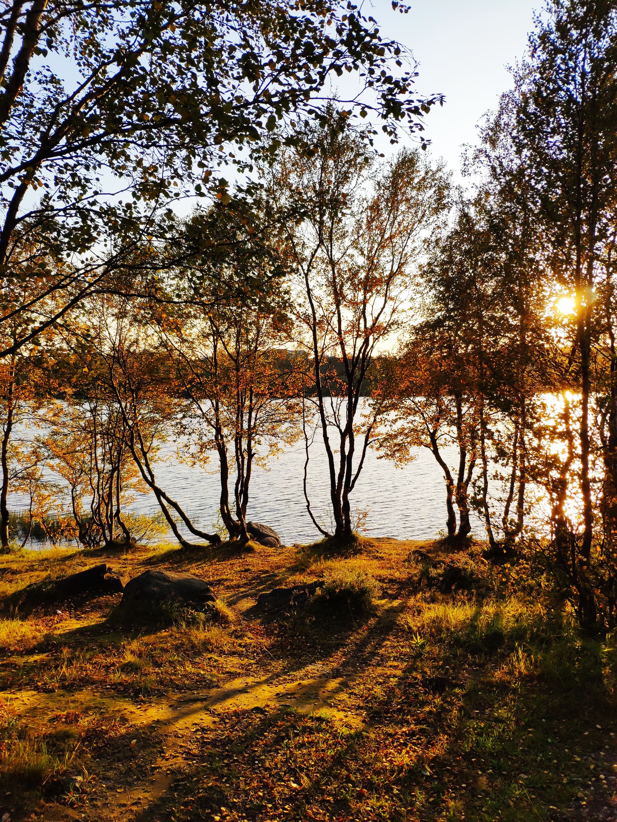 Golden autumn in the Arctic - My, Landscape, beauty of nature, Kola Peninsula, Murmansk, Longpost