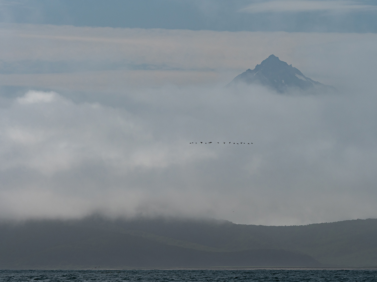 This is a strange place Kamchatka (c) - Kamchatka, , The Bears, Sea lions, Longpost, Koryaksky Volcano, Avachinsky volcano, Kozelsky Volcano, Vilyuchinsky volcano