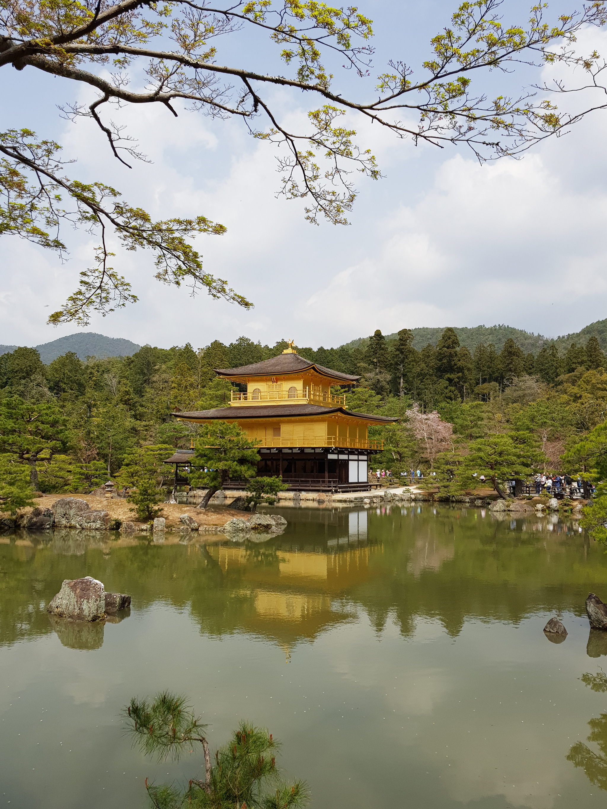 Japan through the eyes of a teapot - part 1 - My, Japan, Travels, The photo, Longpost