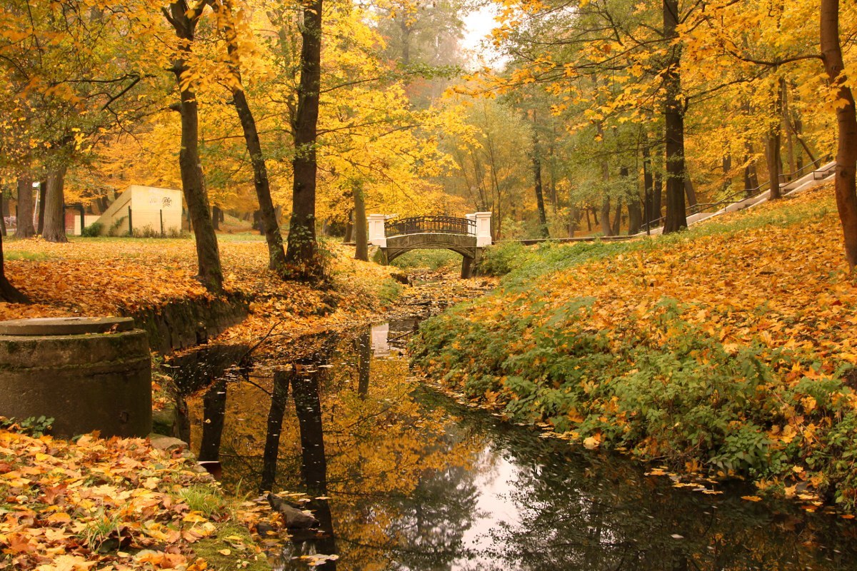 Осень в калининграде фото