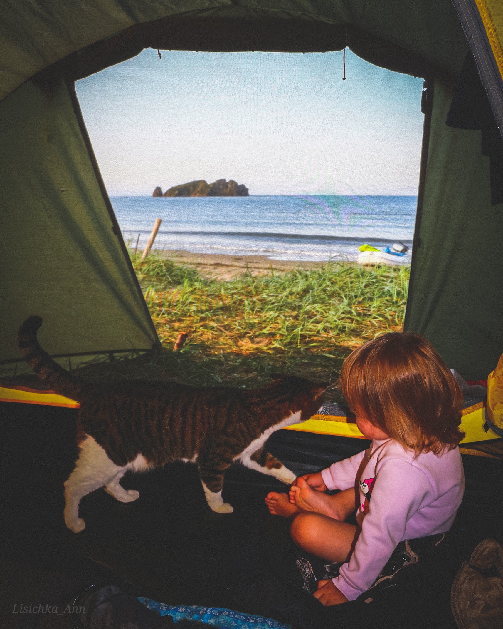 We like this September))) Kievka Bay, Primorsky Territory, Lazovsky District. - My, Sea, Tent, Primorsky Krai, cat, Travels, Children