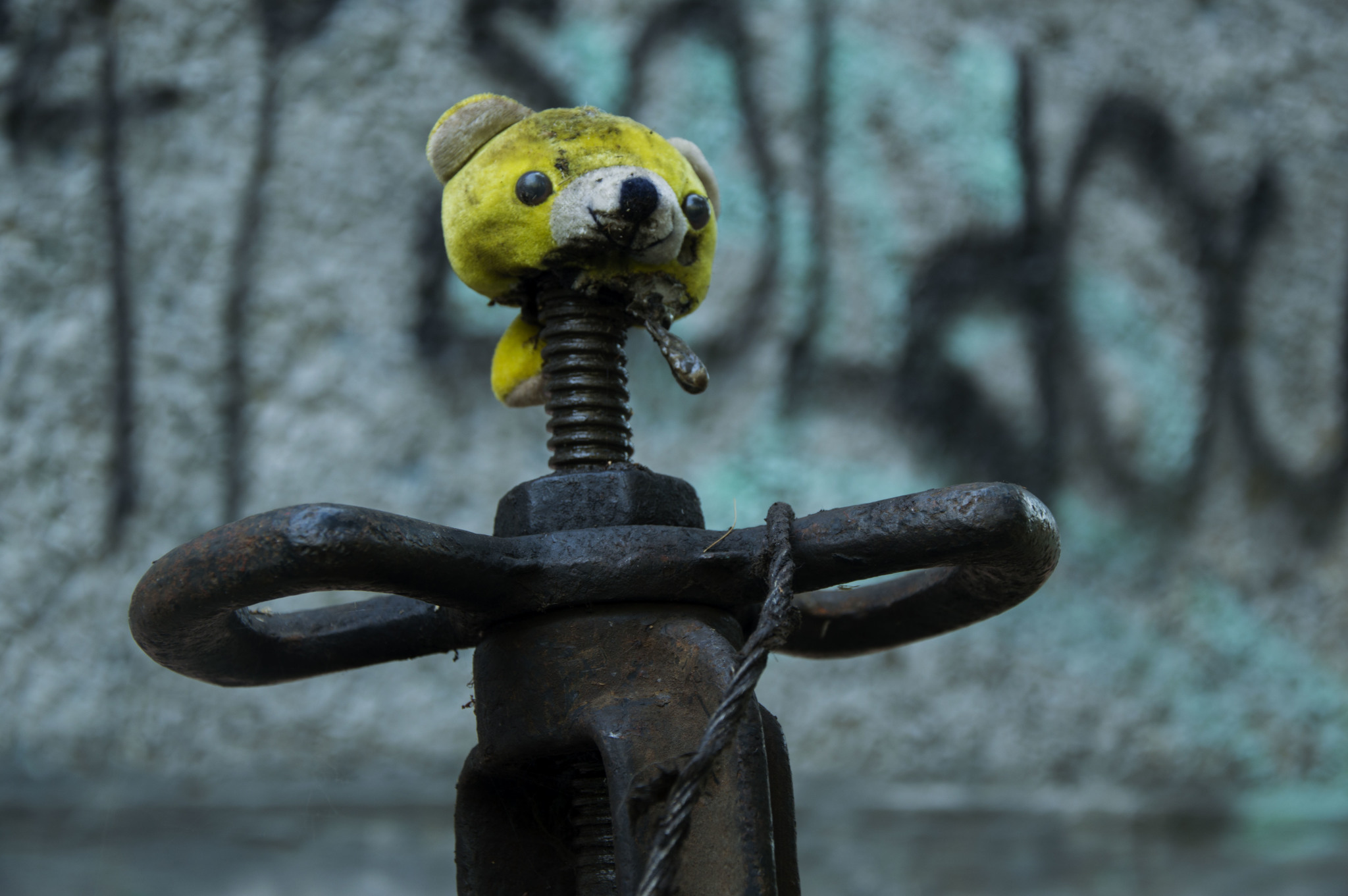 Creepy from the yards - My, Kripota, Beginning photographer, The photo, Creation, Rust, Valve