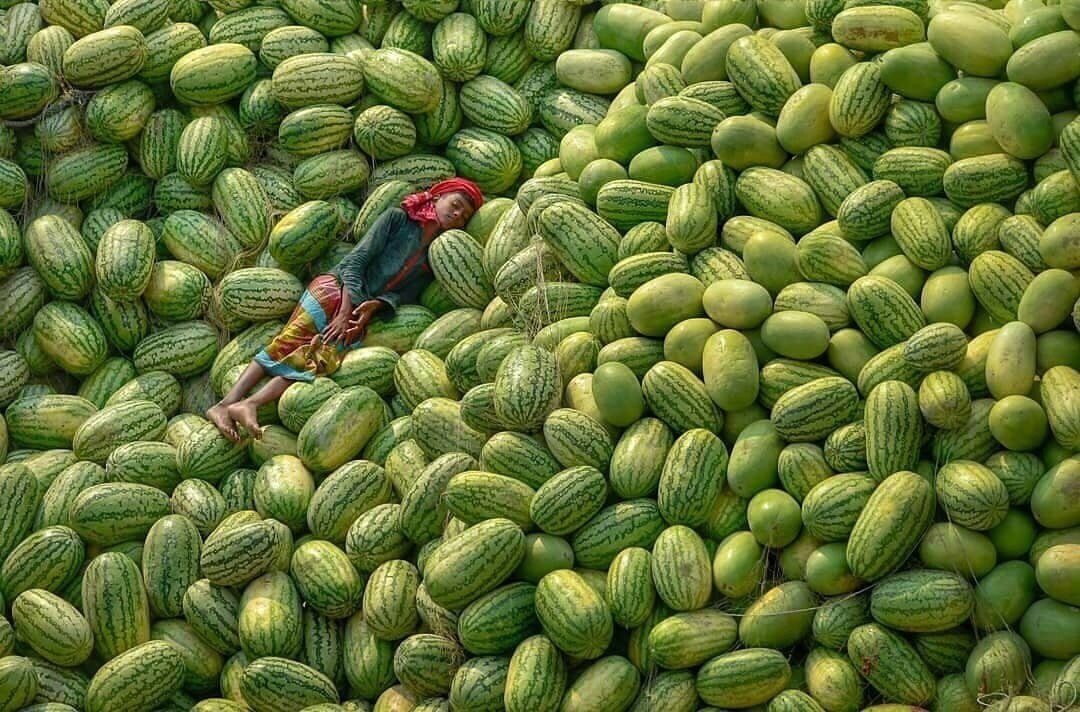 Mood: lying in watermelon paradise. - Watermelon, Dream, Fatigue