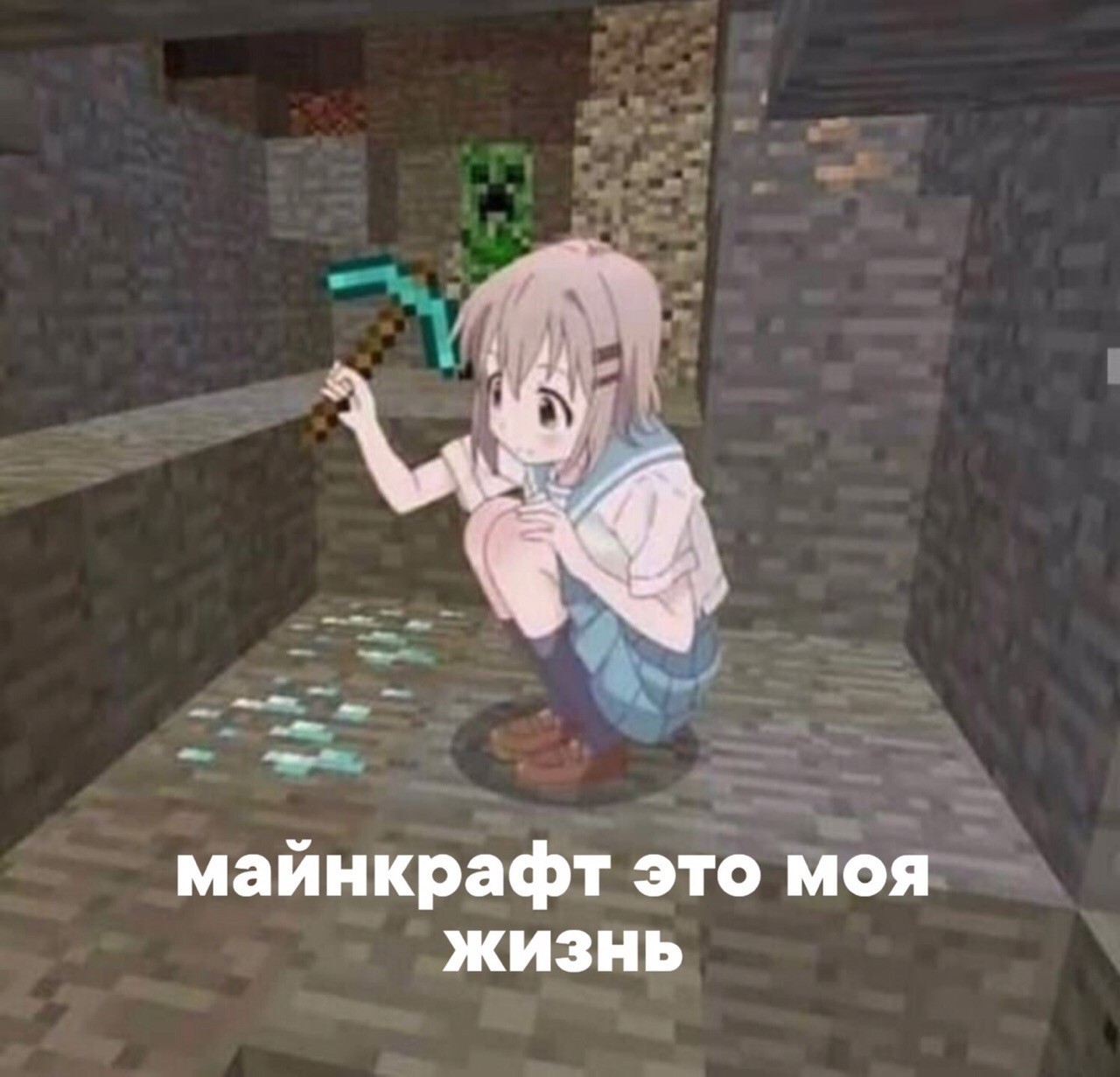 Hmm ... is it true - Picture with text, Text, Minecraft, This is my life, A life