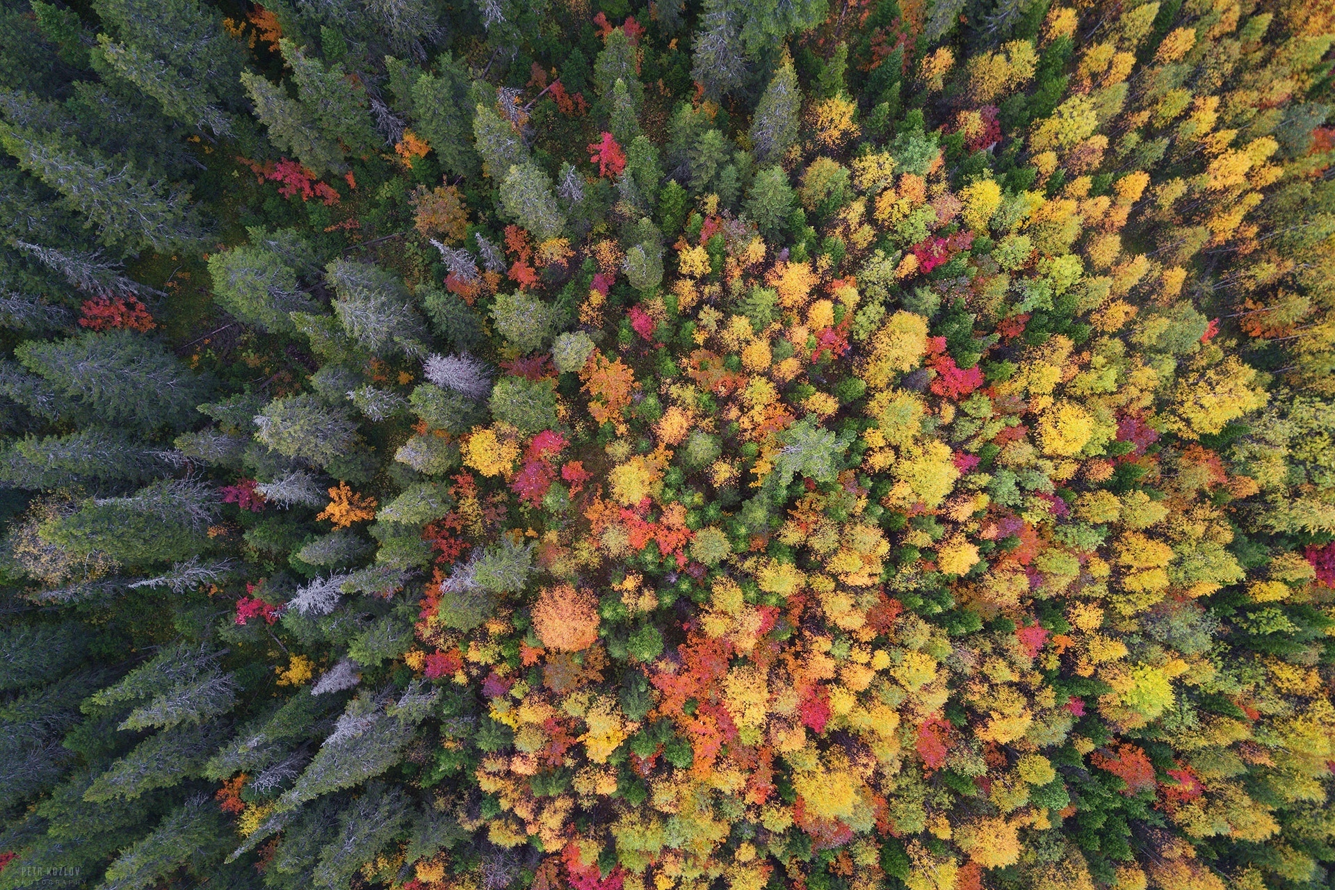 Autumn in the Ural forest. - Nature, Ural, Forest, Autumn, Drone