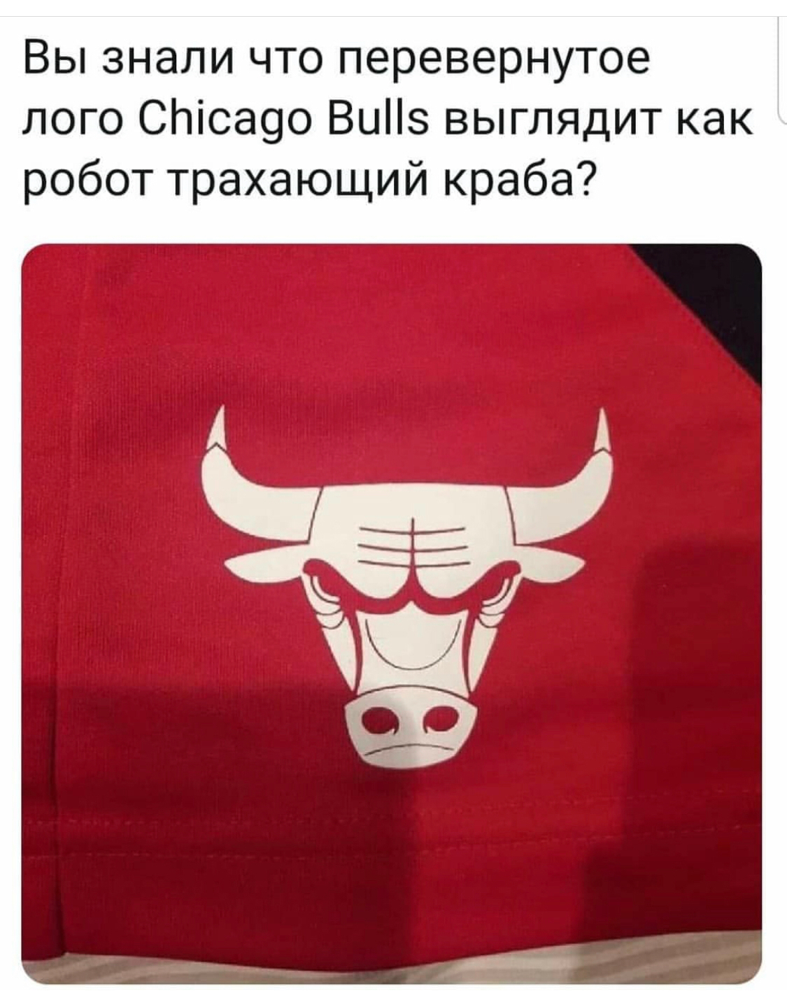 Chicago Bulls | Пикабу