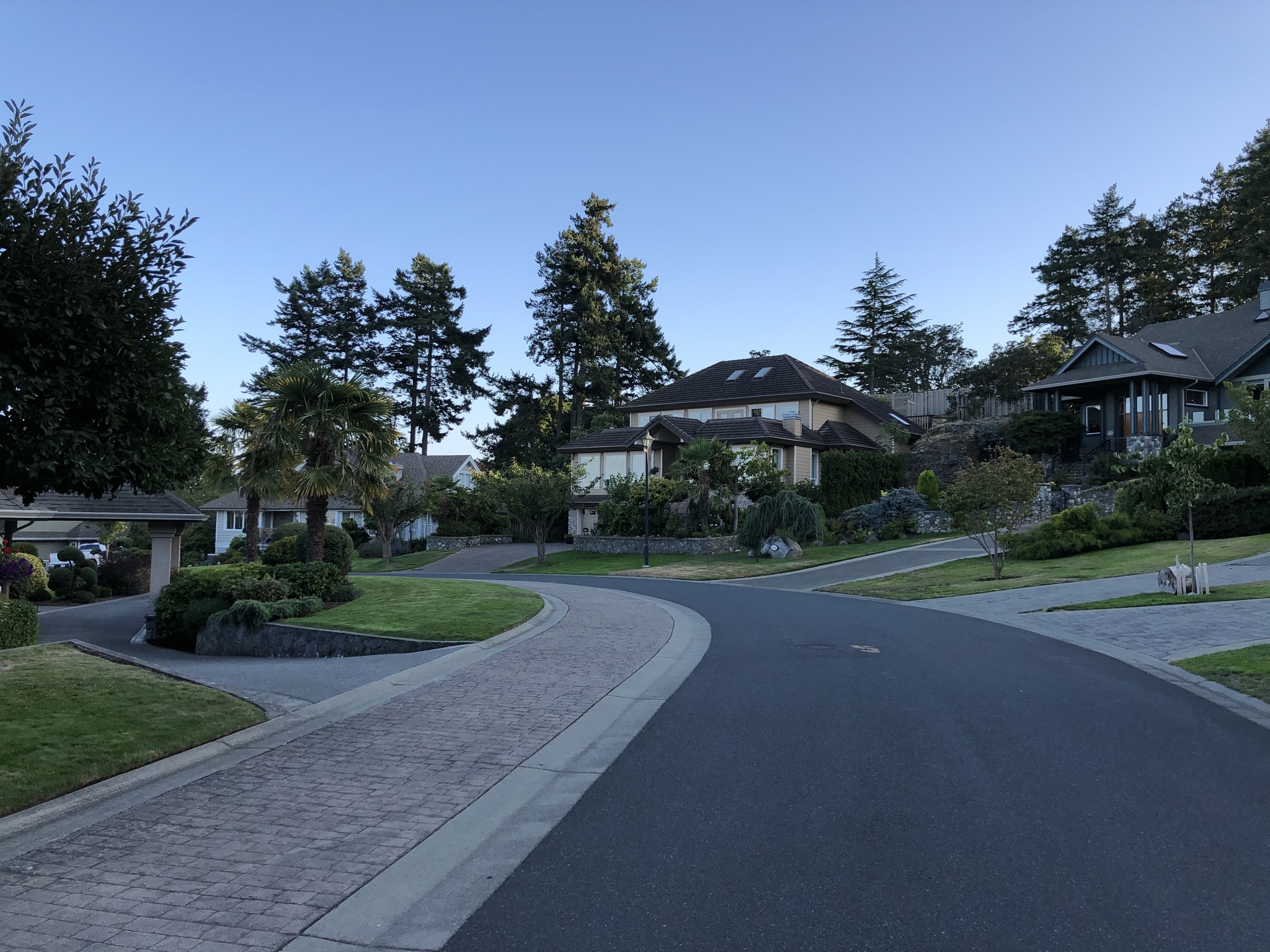 Deer - My, Deer, Town, Road, House, The street, Evening, Canada, Longpost, Deer