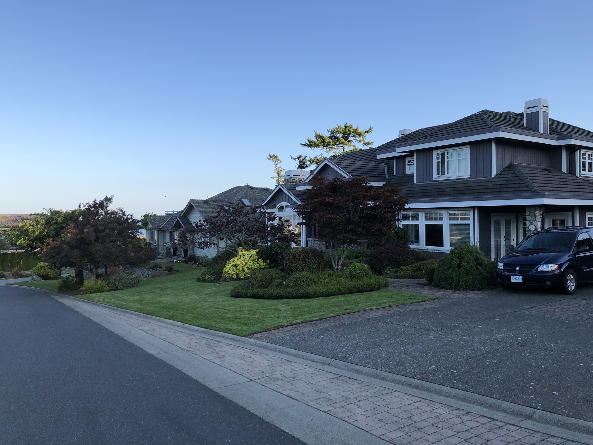 Deer - My, Deer, Town, Road, House, The street, Evening, Canada, Longpost, Deer