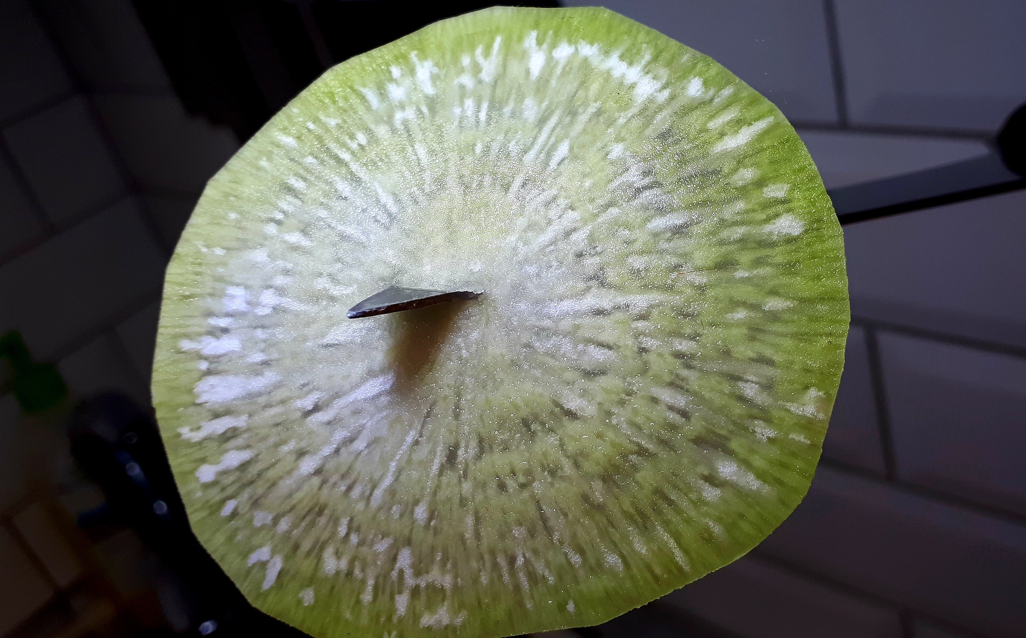 Everything is useful that got into your mouth - My, Radish, Food, Longpost, Salad