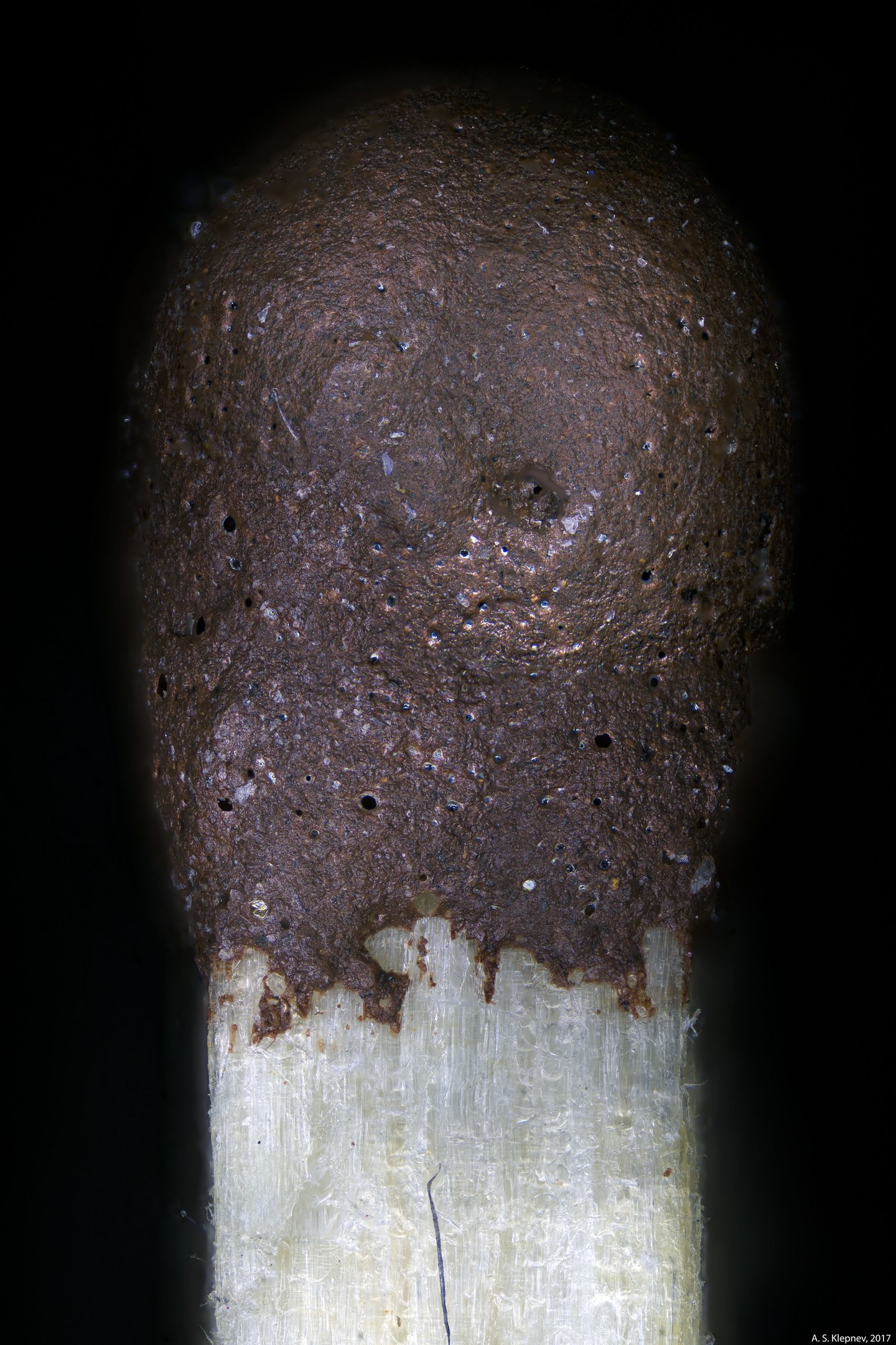 Match head under a microscope - My, Microscope, Matches, Longpost