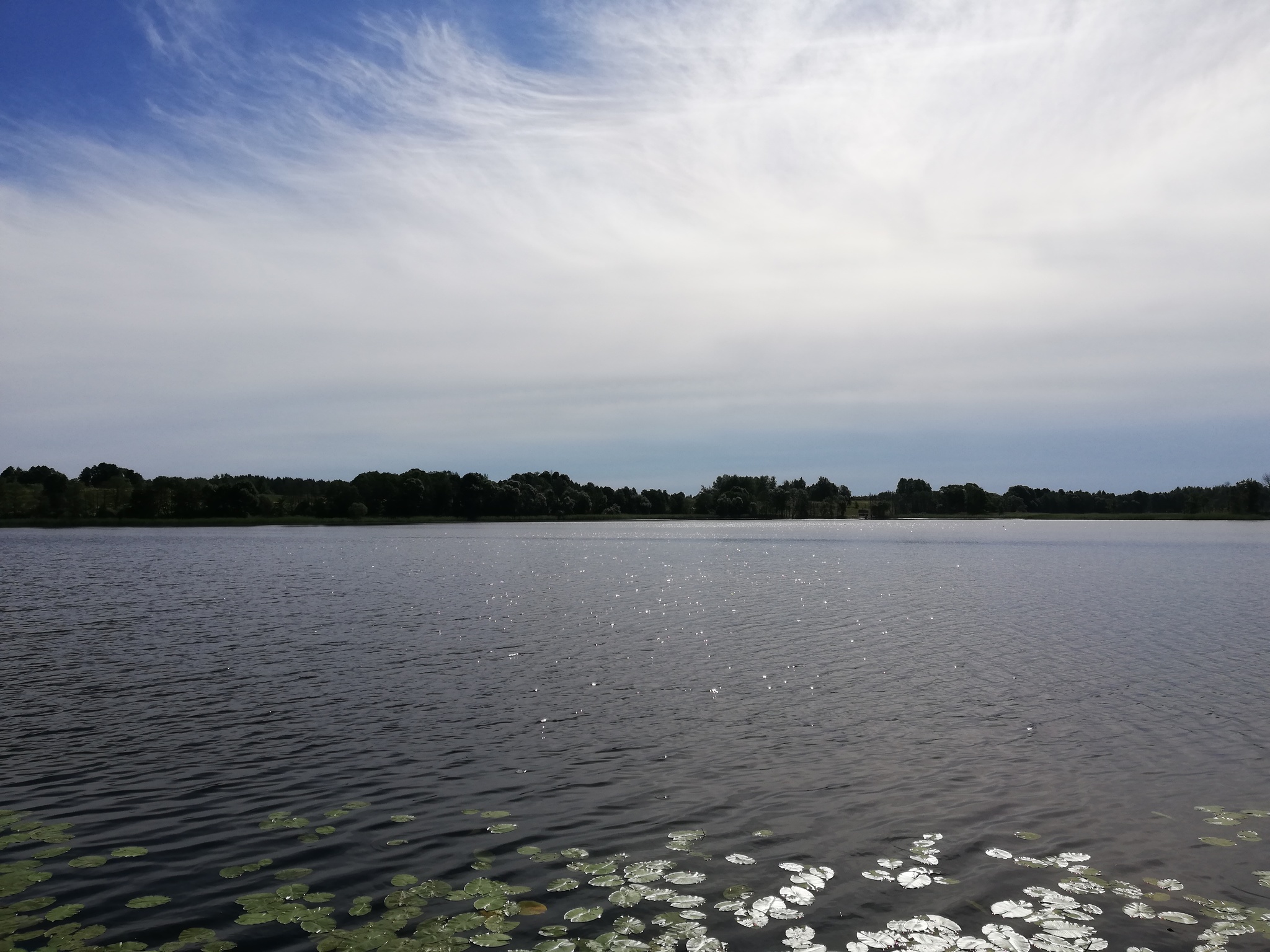 Fishing - My, Republic of Belarus, The photo, Mobile photography, Lake, Fishing, Vacation, Nature, Longpost