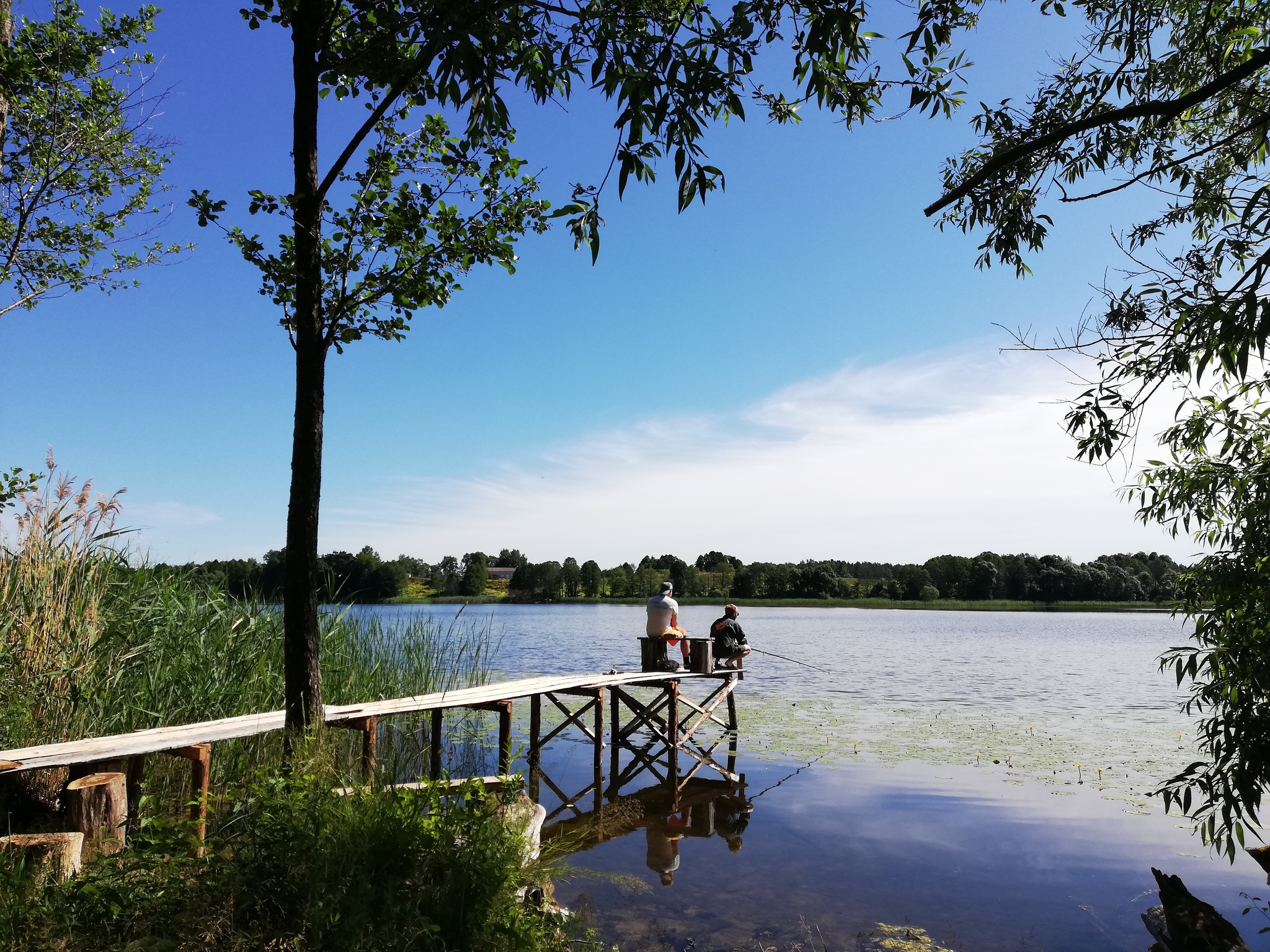 Fishing - My, Republic of Belarus, The photo, Mobile photography, Lake, Fishing, Vacation, Nature, Longpost