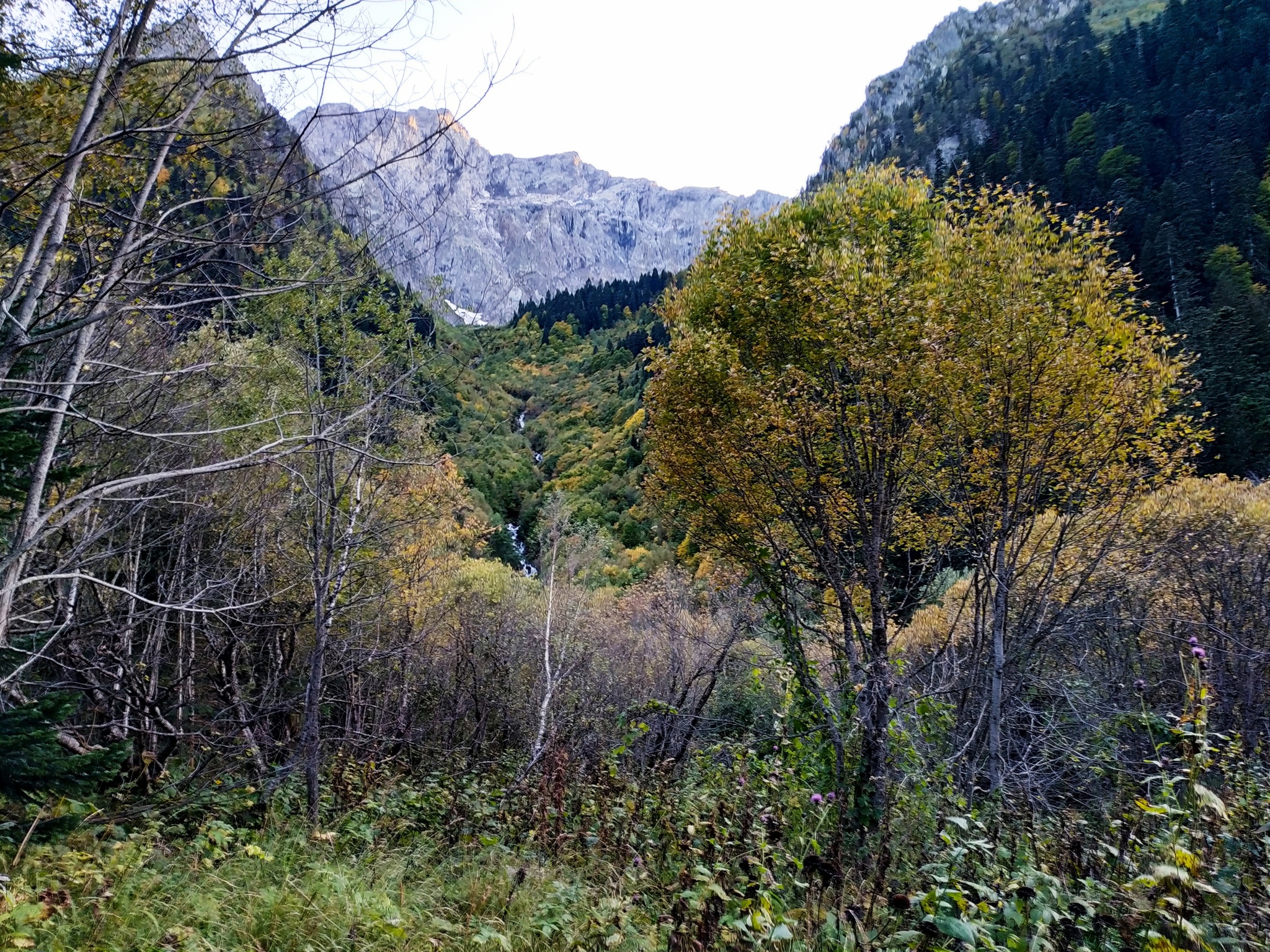 Caucasian Biosphere Reserve, route No. 8 - My, The mountains, Caucasus, Caucasian Reserve, Longpost