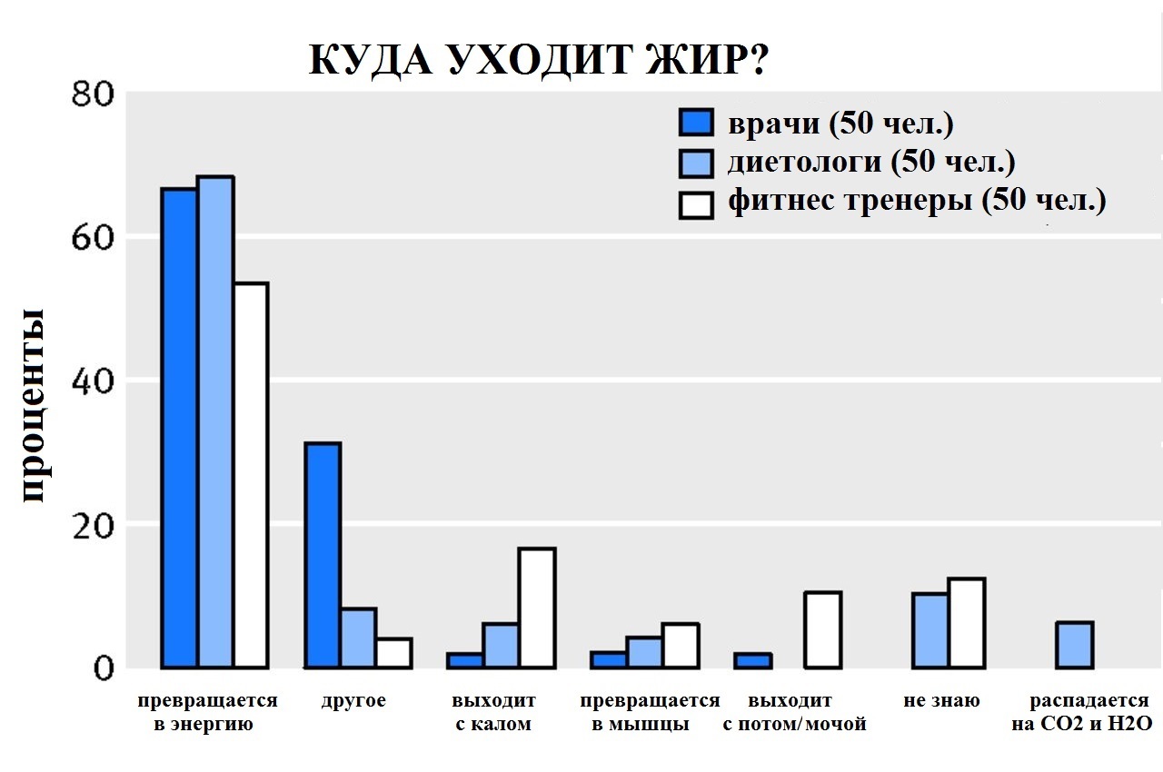 Where does fat go when you lose weight? - My, Sport, Тренер, Sports Tips, Slimming, Fat, Research, Anatomy, Diet, Longpost