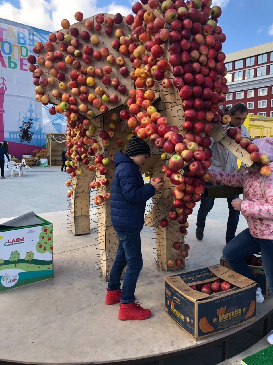 The second life of the Stavropol elephant - Day of the city, Stavropol, Longpost