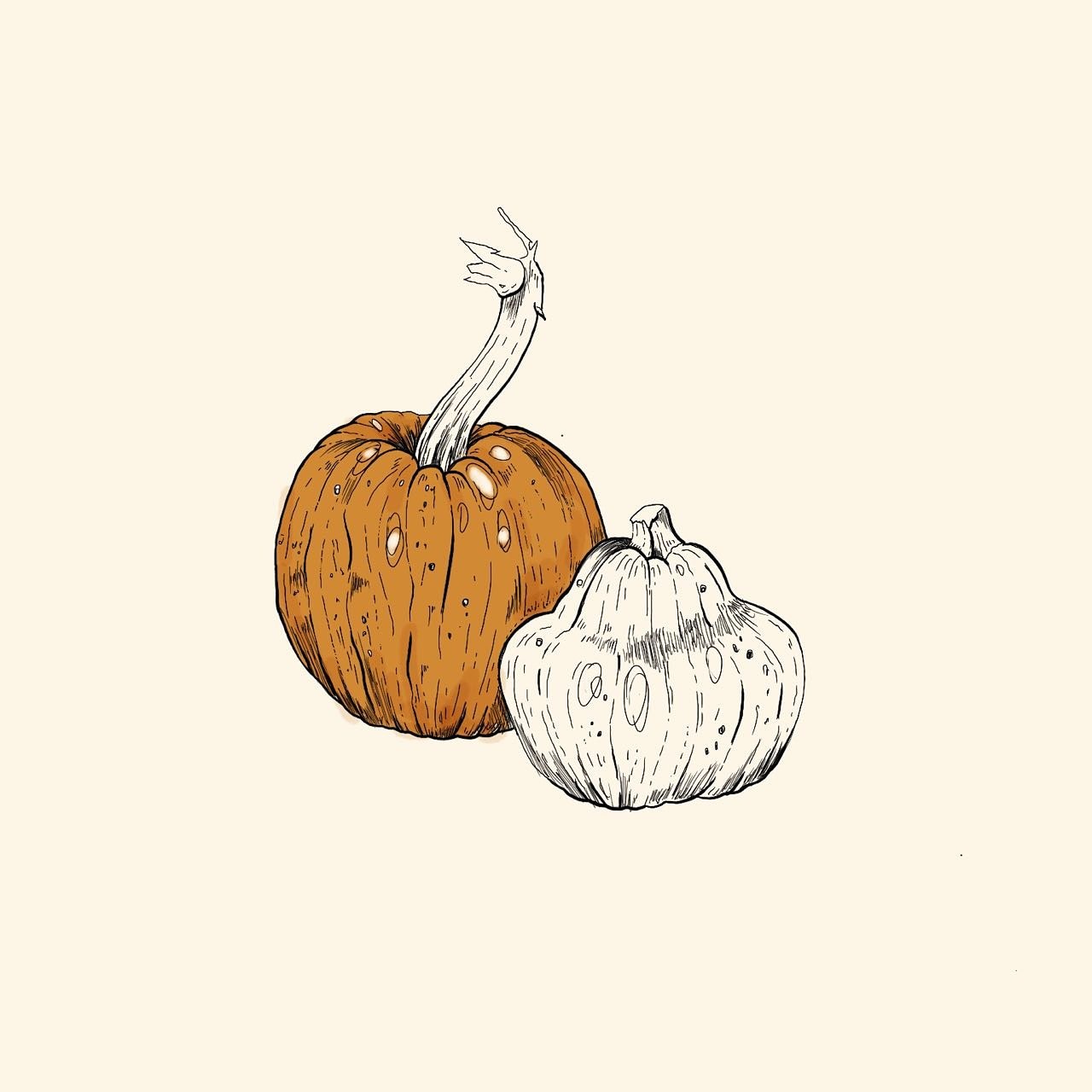 Botany is my passion. Realistic and decorative, drawn in Procreate or by hand. Each sketch contains a piece of the soul. - My, , Tattoo sketch, Digital drawing, Pumpkin, Pear, Drawing on a tablet, Drawing, Tattoo