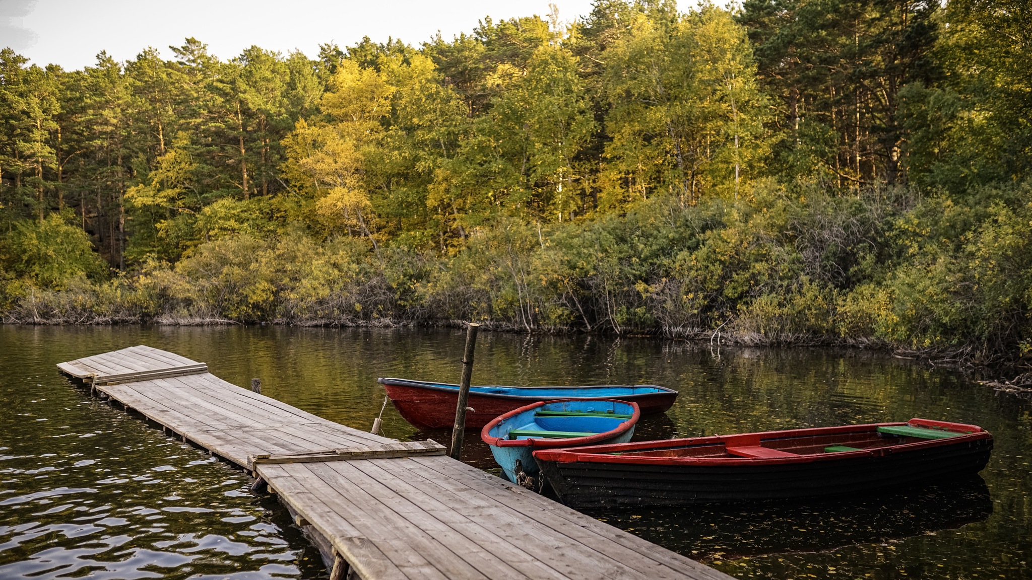 Lake Borovoye - My, Landscape, Kazakhstan