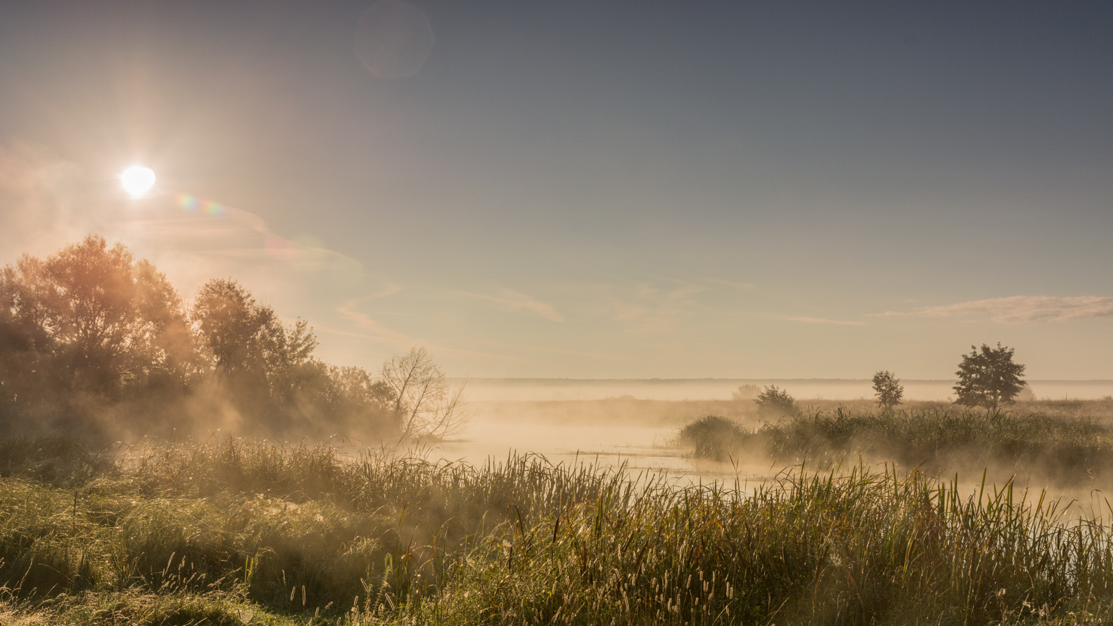 Early in the morning - My, The photo, Beginning photographer, Tambov Region, Tambov, River, Field, Open spaces, Longpost