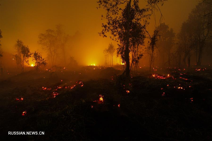 Massive fires in Indonesia - , Fire, Indonesia, Peace, Irresponsibility, Longpost, Terrorism