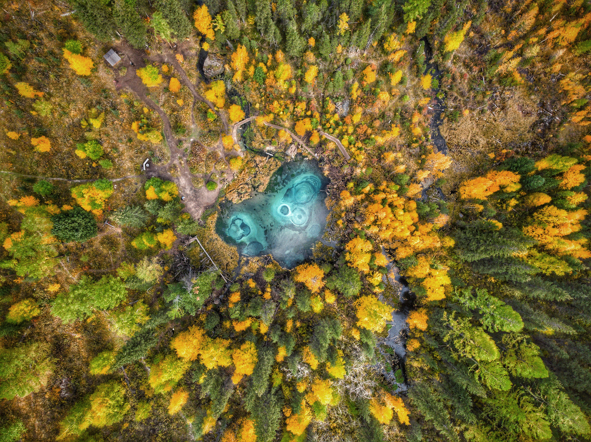 Geyser Lake - My, The photo, Lake, Mountain Altai, Forest, Autumn, Geyser Lake, Chuisky tract, Drone, Altai Republic