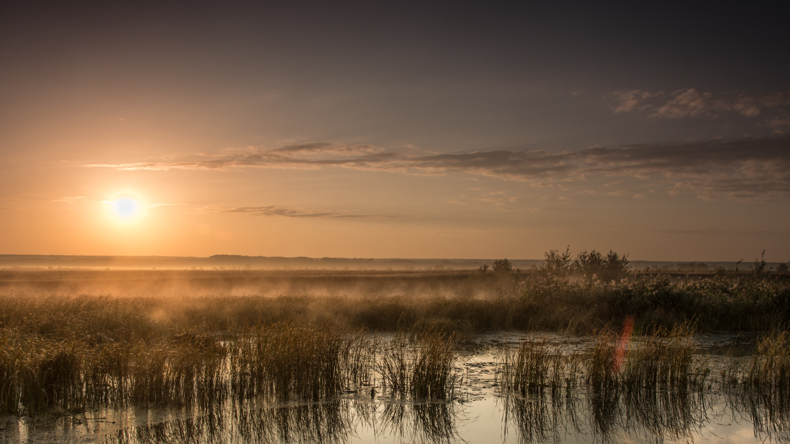 At dawn - My, The photo, Beginning photographer, Tambov, Tambov Region, River, , Open spaces, Longpost