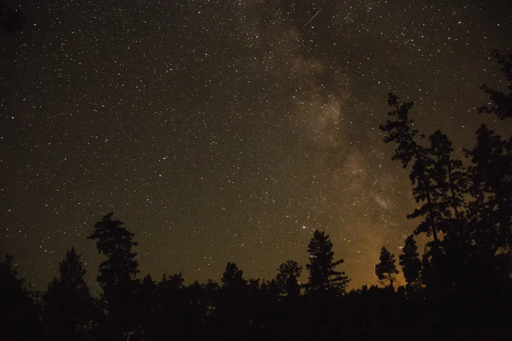 Is there anyone there? - My, Stars, Space, The photo, Forest, Longpost, Stars