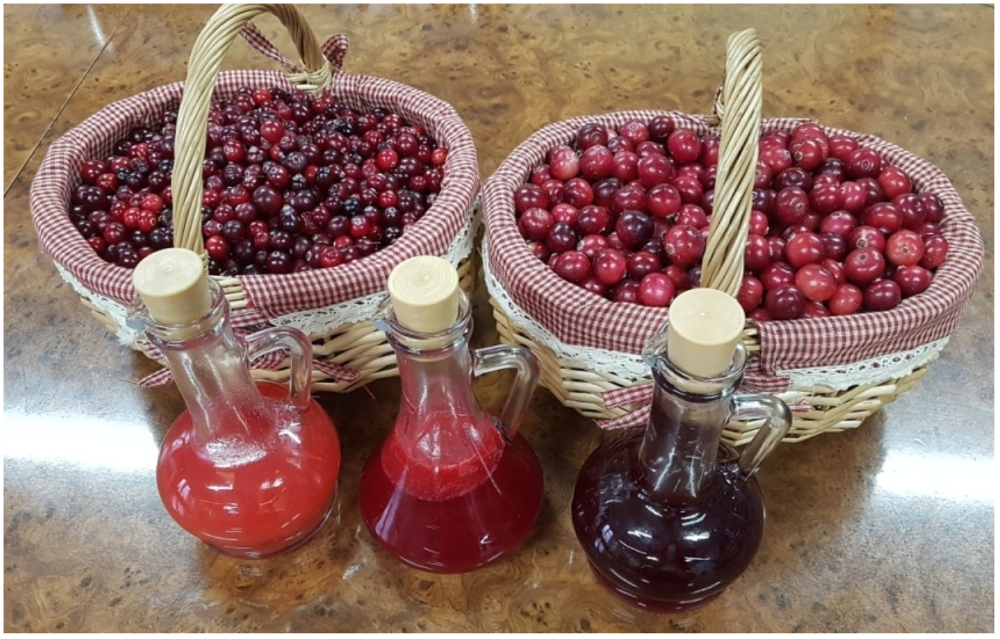 Wild plants of the north. - Russia, Russian North, Berries, Сельское хозяйство, Goarctic ru, Longpost