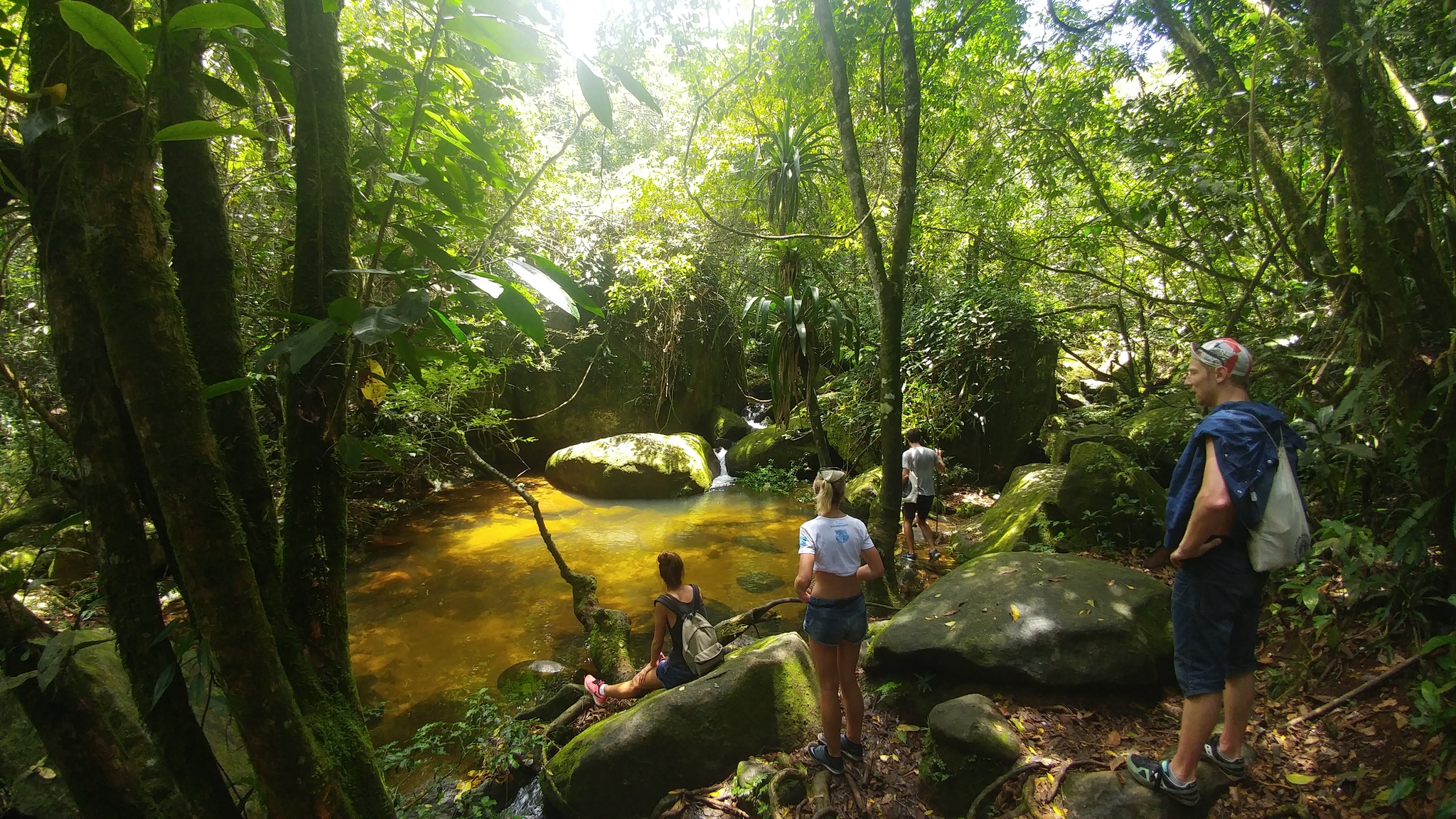 Ilha Grande: reserved island - My, Brazil, South America, Island, Travels, Youtube, Longpost, Vlog, GoPRO, Jungle, Video, Video blog