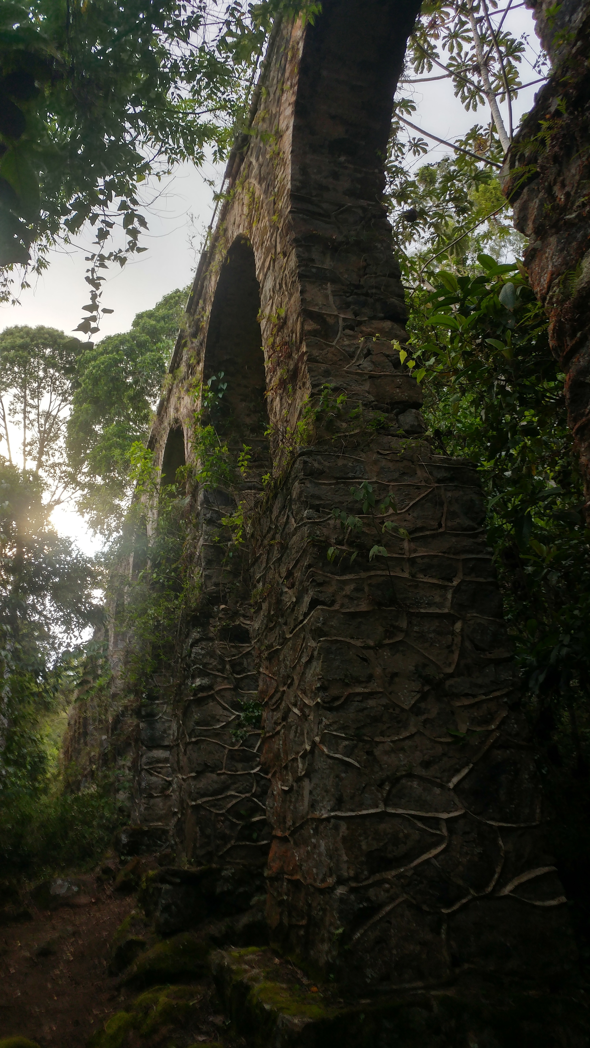 Ilha Grande: reserved island - My, Brazil, South America, Island, Travels, Youtube, Longpost, Vlog, GoPRO, Jungle, Video, Video blog