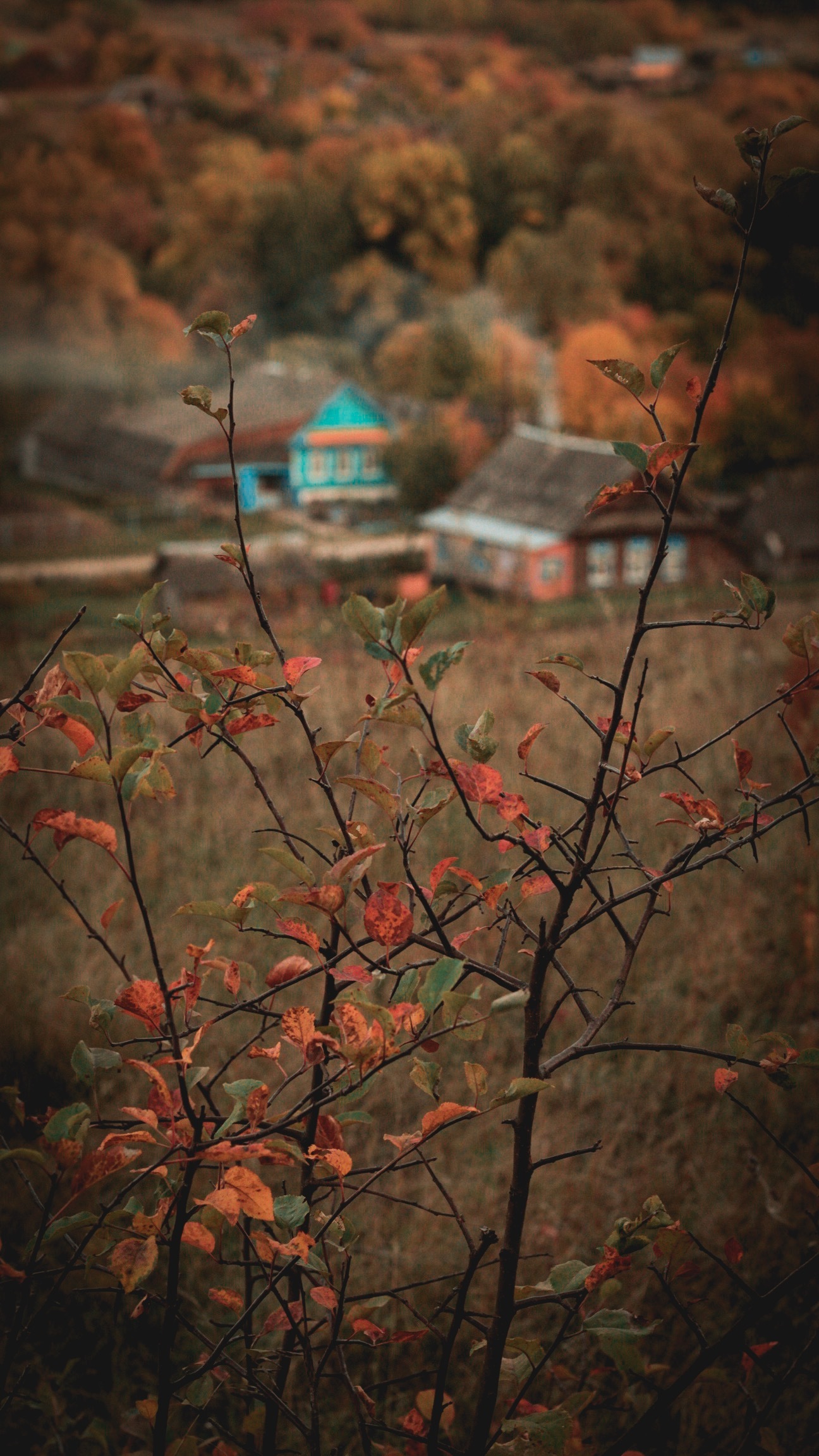 Autumn mood.. - Village, Autumn, The photo, Longpost