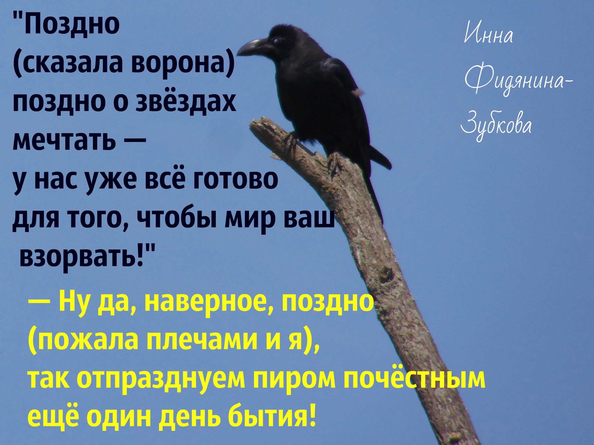 Скажу позднее. Ворона говорит. Сказала про ворону. Ворон говорит. Как говорят вороны.