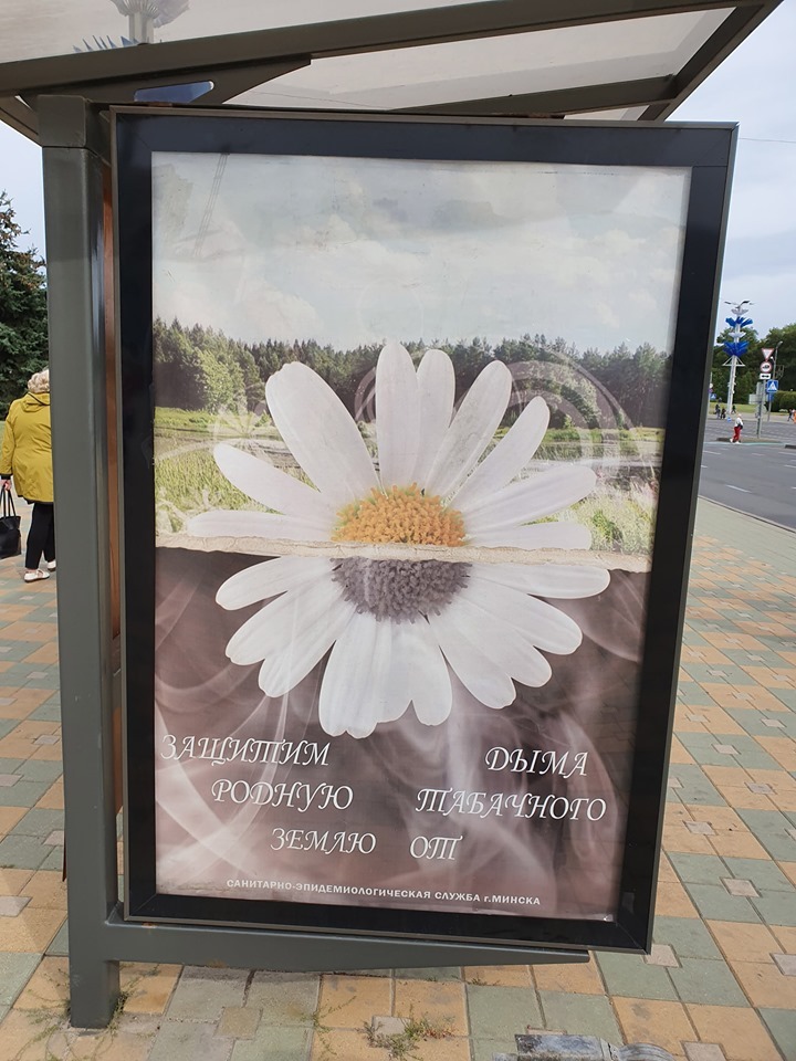 Йоду магистра почитает дизайнер очень видимо - Правописание, Плакат, Рокк ебол, Социальная реклама