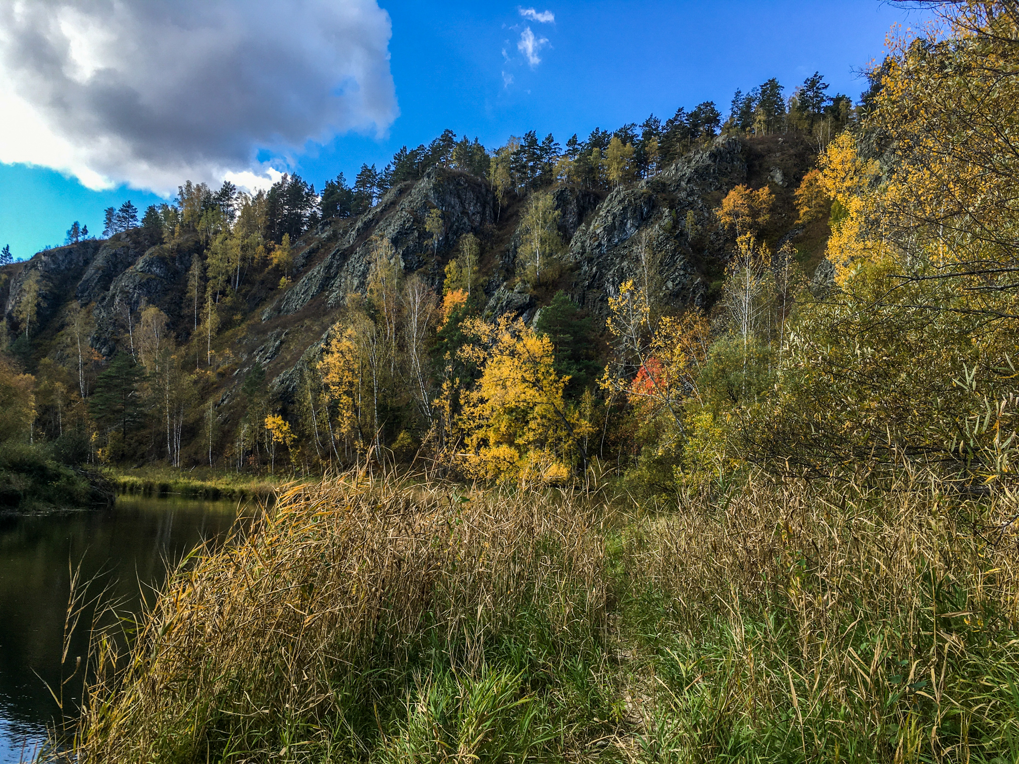 Autumn walk to St. John's wort - My, Autumn, Forest, Novosibirsk region, Longpost