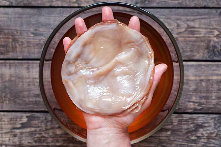 Myths and truth about kombucha - My, Kombucha, Tea mushroom, Probiotics, Prebiotics, Alcohol, ethnoscience, Longpost