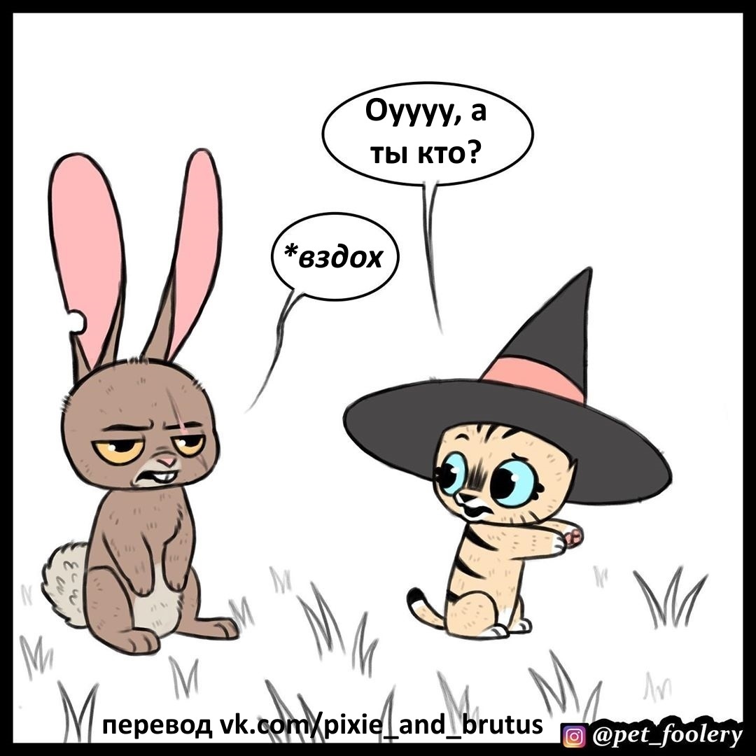 Halloween. - Brutus and Pixie, Pet foolery, Comics, Halloween, Longpost, cat